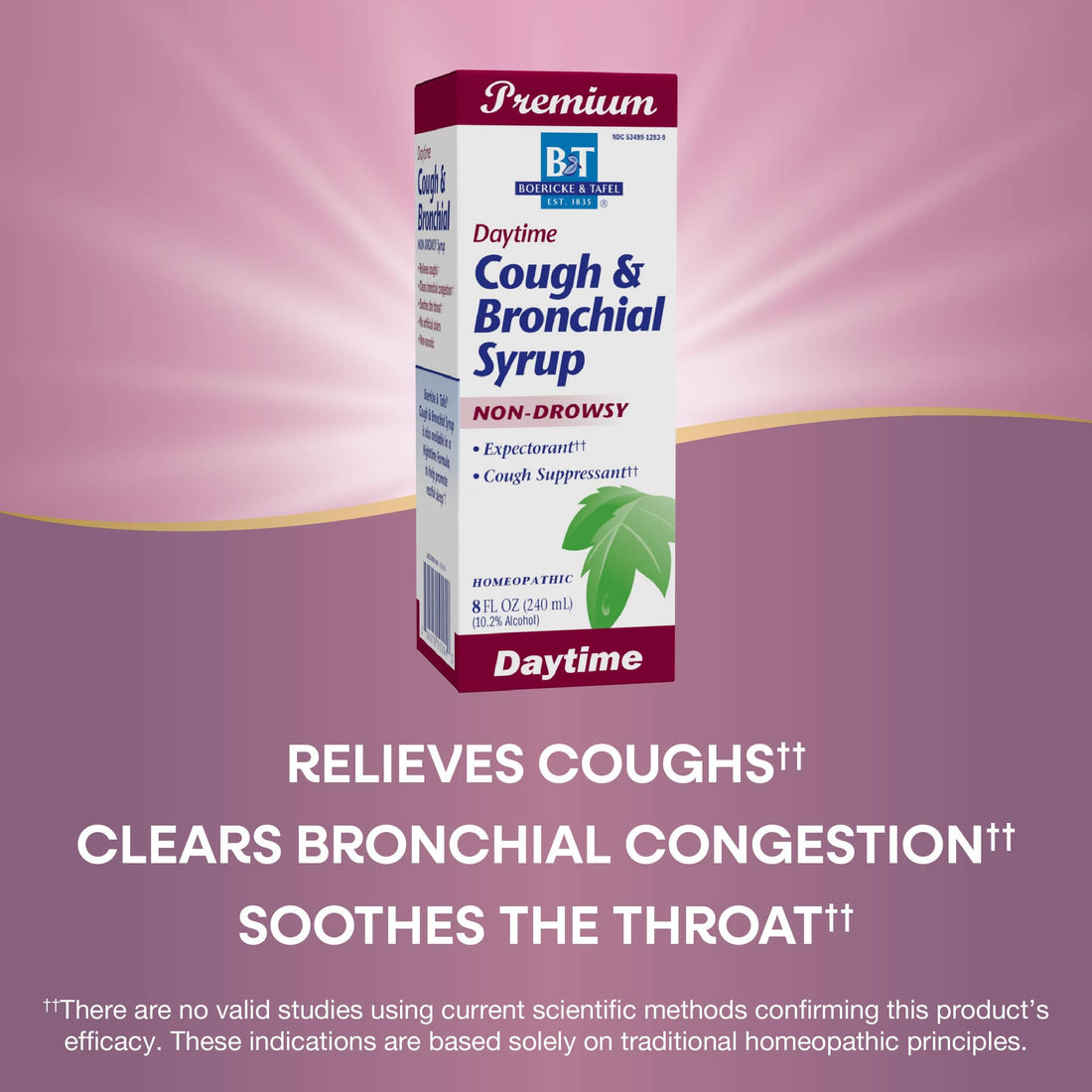 Nature's Way Boericke & Tafel Daytime Cough & Bronchial Syrup, Cough Suppressant & Expectorant, Non-Drowsy, 8 Fl. Oz
