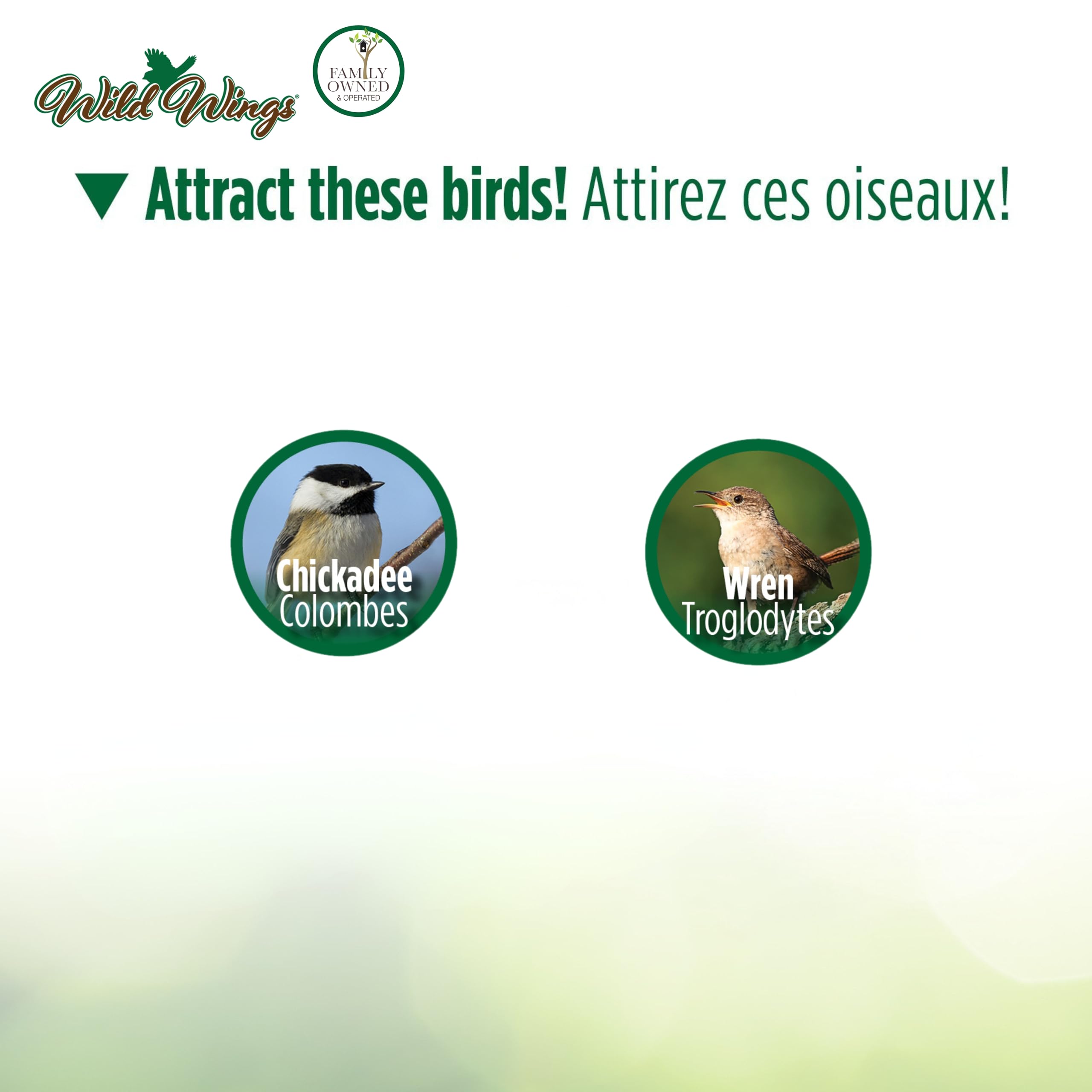 Wild Wings Decorative Wren House Blooming Nest, Green