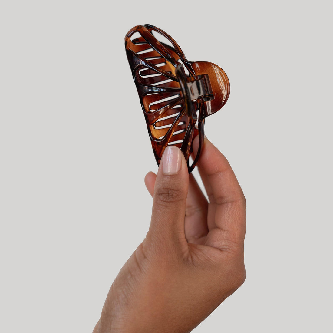 France Luxe Large Nautilus Jaw Tortoise