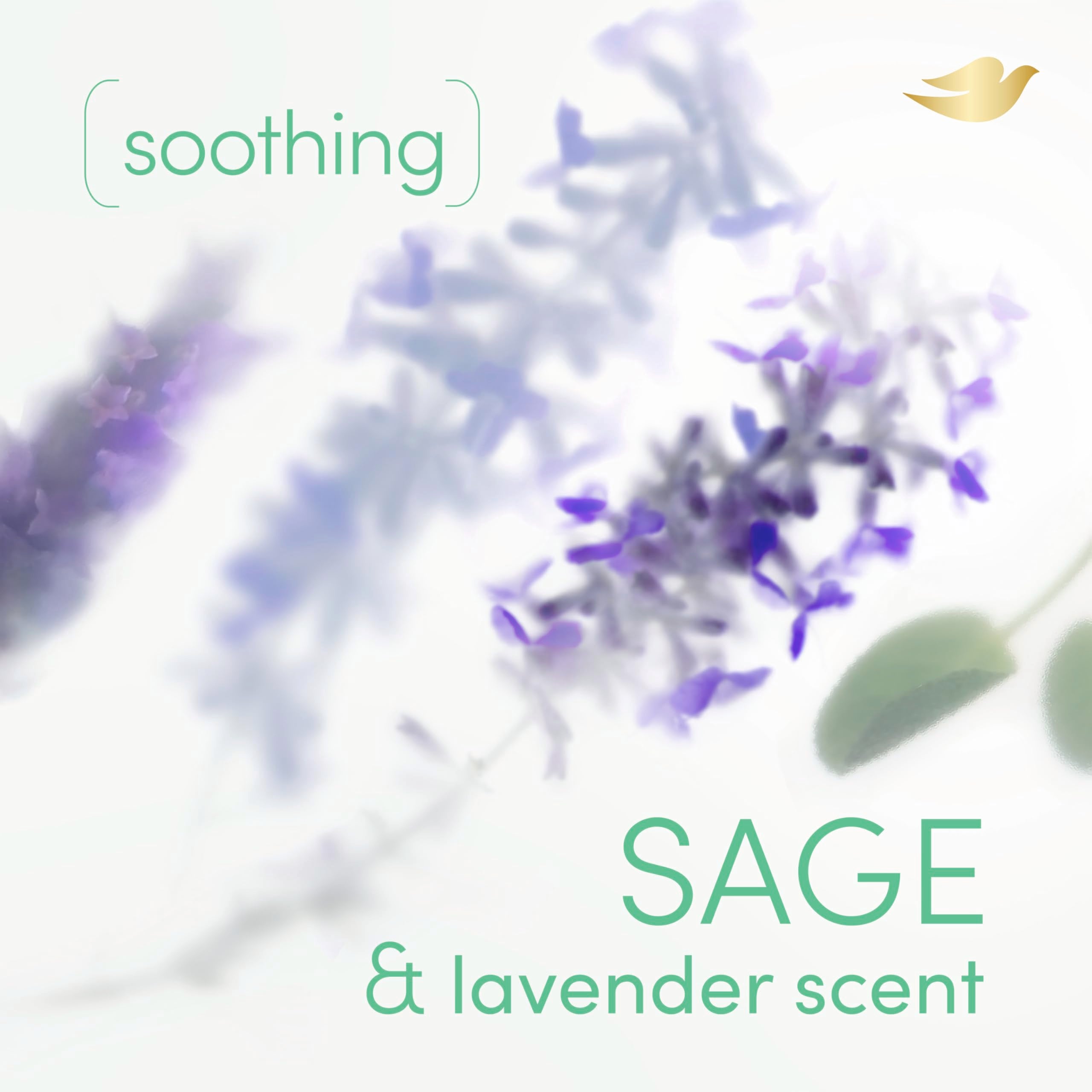 Dove Whole Body Deodorant Cooling Spray Sage & Lavender Aluminum Free 4oz