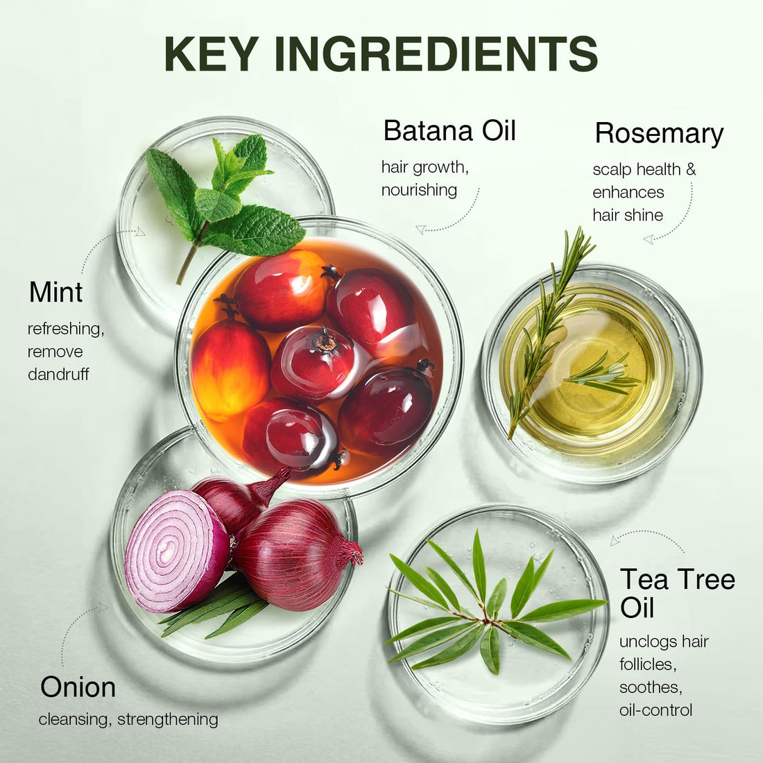 Batana Oil Hair Growth Shampoo, Thinning Hair & Hair Loss Shampoo with Rosemary & Tea Tree Oil, Strengthening & Thickening Formula for Women & Men, for All Hair Types, Sulfate Free, 10.15 fl oz