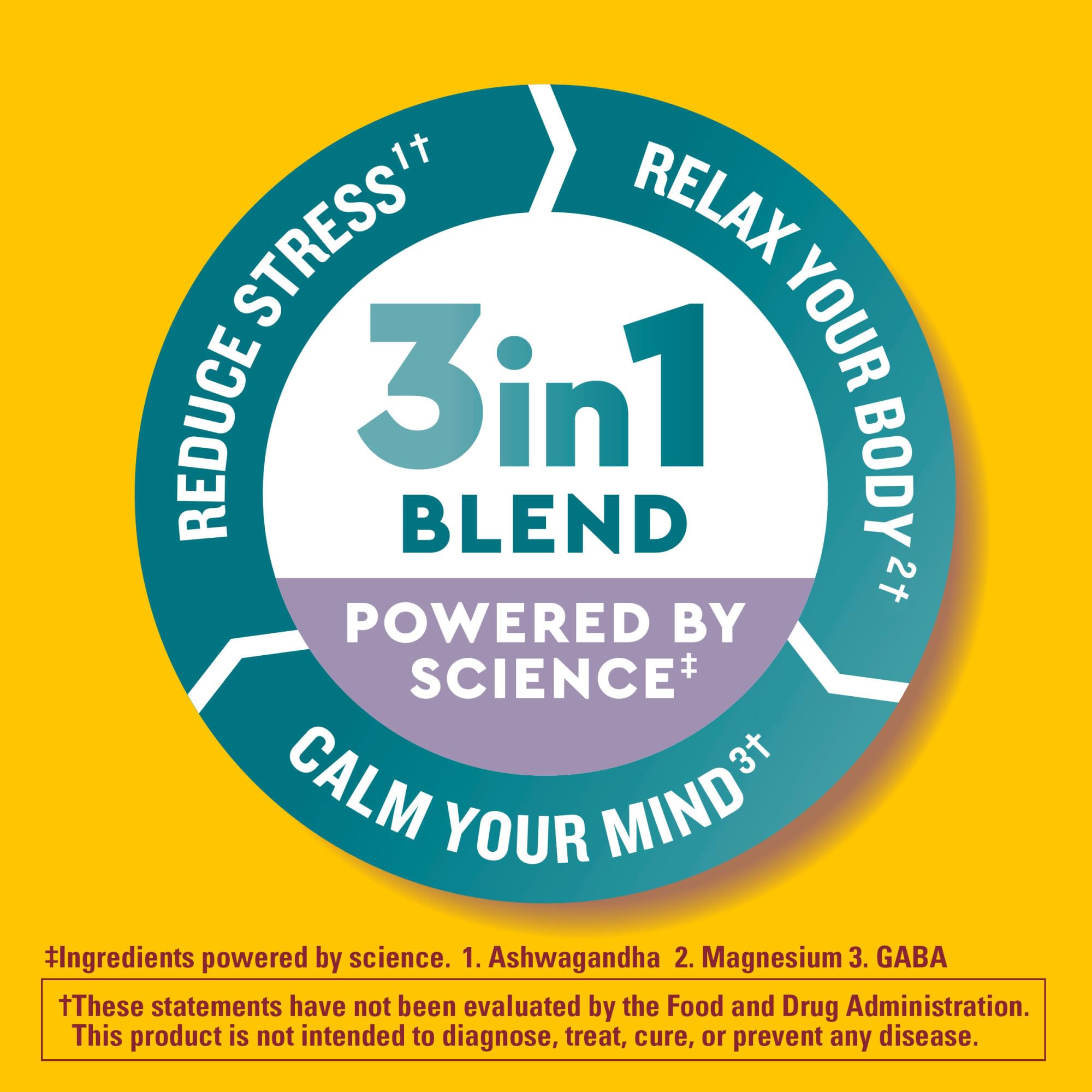 Nature Made Wellblends Calm Mind & Body, Magnesium Citrate, Ashwagandha 125mg & GABA 100mg Blend for Stress Relief, 38 Gummy Vitamins