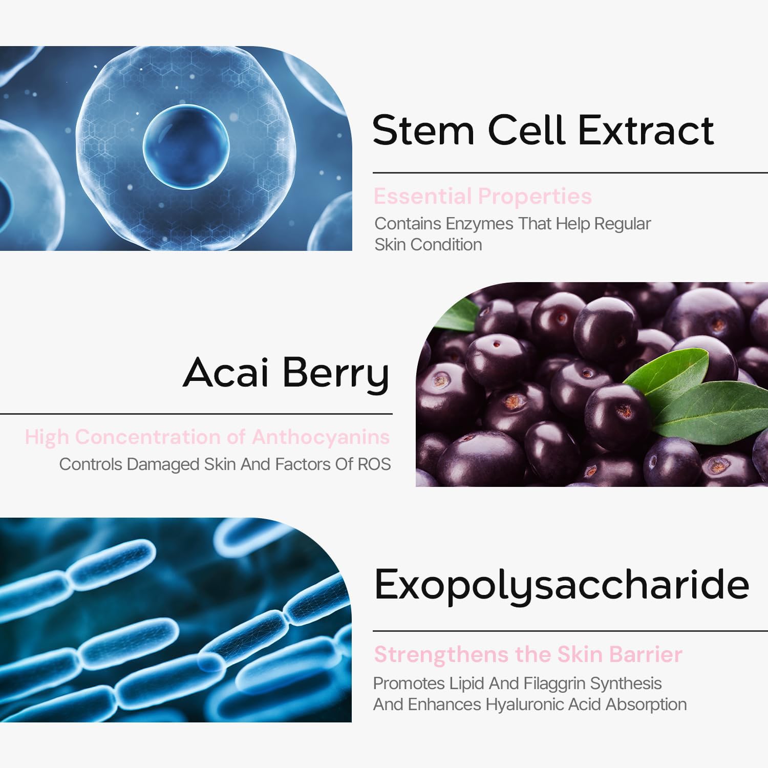 tHermoCEUTICAL Prime EXO Ampoule - Intensive Repair Ampoule for Damaged Skin, Antioxidant, Skin Tone with Niacinamide, Long-Lasting Moisture, 0.67 fl.oz