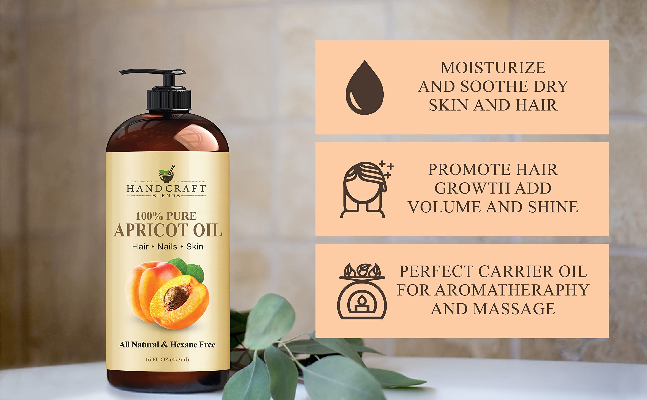 Handcraft Blends Apricot Kernel Oil - Cold-Pressed 16 Fl Oz - 100% Pure and Natural - Premium Grade Carrier for Skin and Hair - Hair and Body - Massage - Hexane-Free