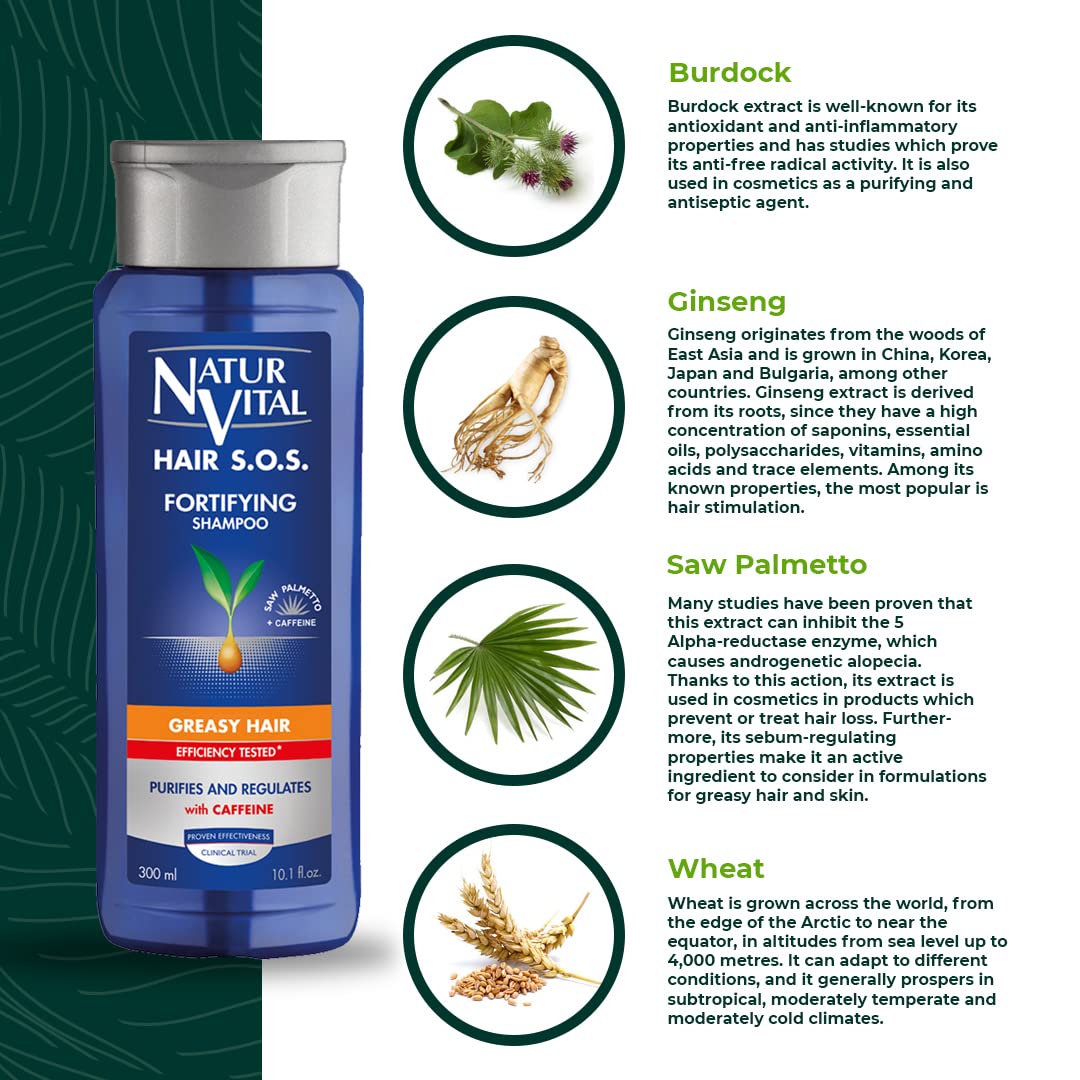 Revitalizing Shampoo Greasy Hair - 300 Ml / Natural