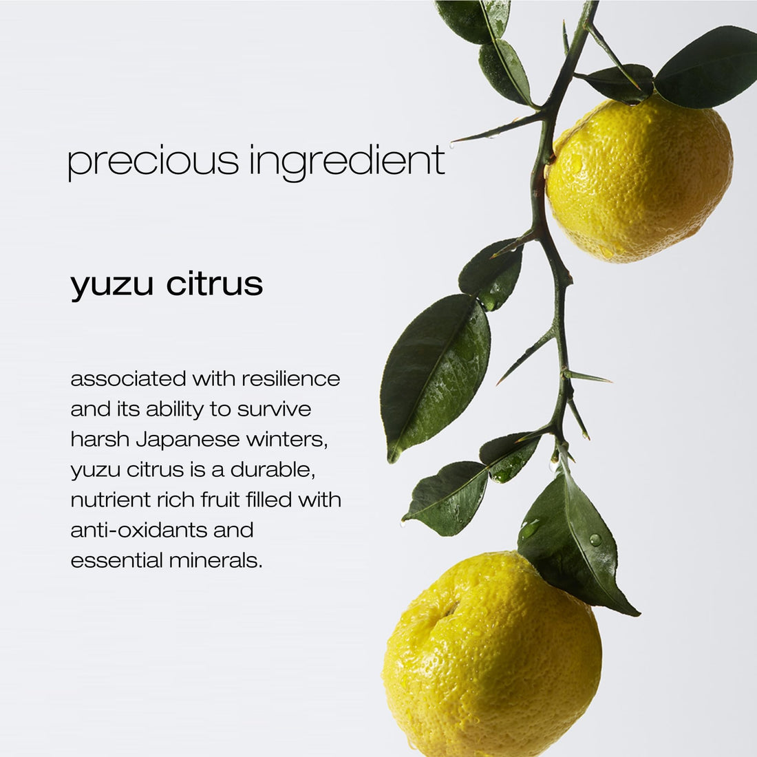 Shu Uemura Pure Serenity Clarifying Shampoo - Removes Dirt and Product Buildup, Balances and Removes Excess Oil