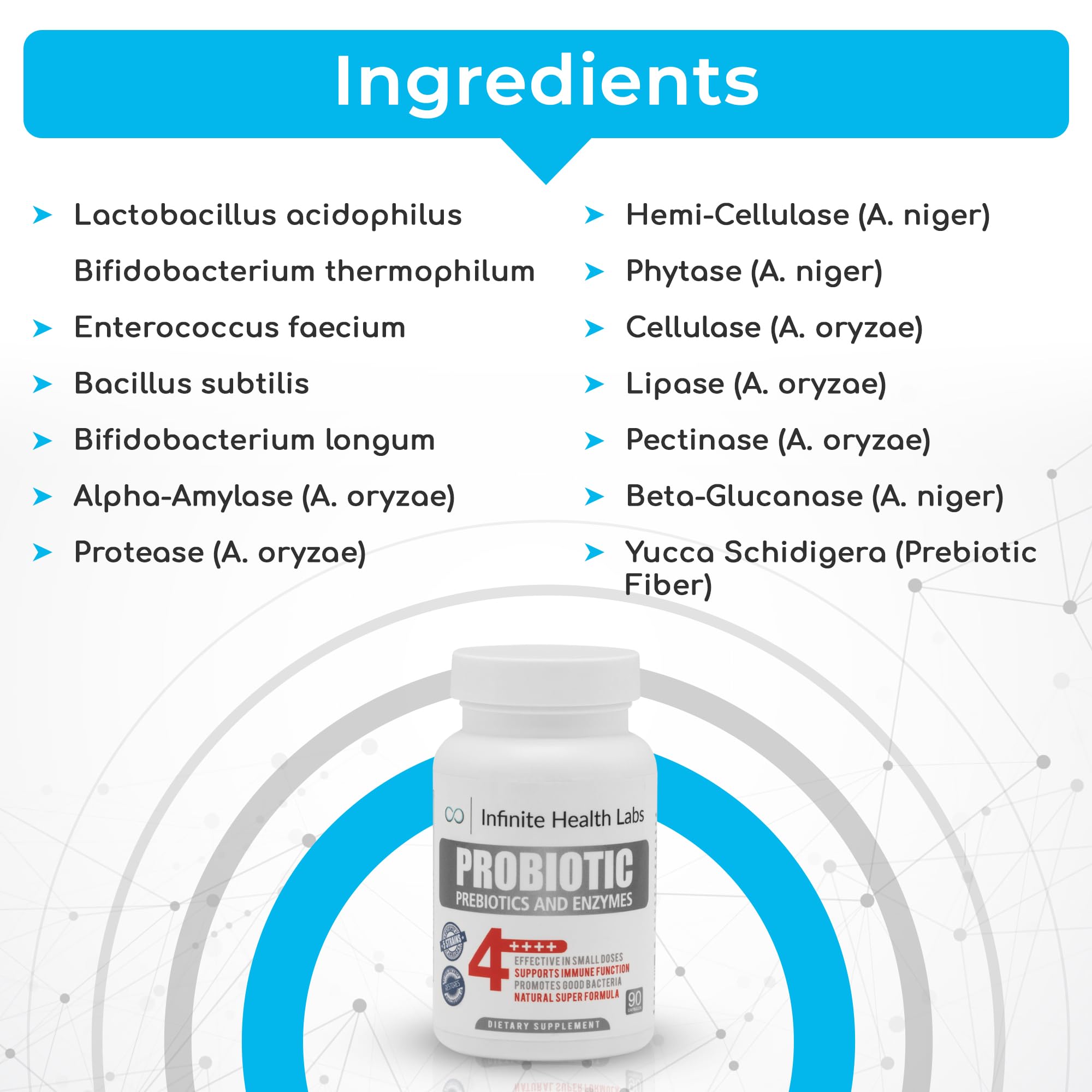 Probiotic Supplement / Infinite Health - 90 Small Easy to Swallow Capsules - All Natural, Helps Relieve Digestive problems & Gas - Improves Immune System 2.1 Billion CFUs per Capsule