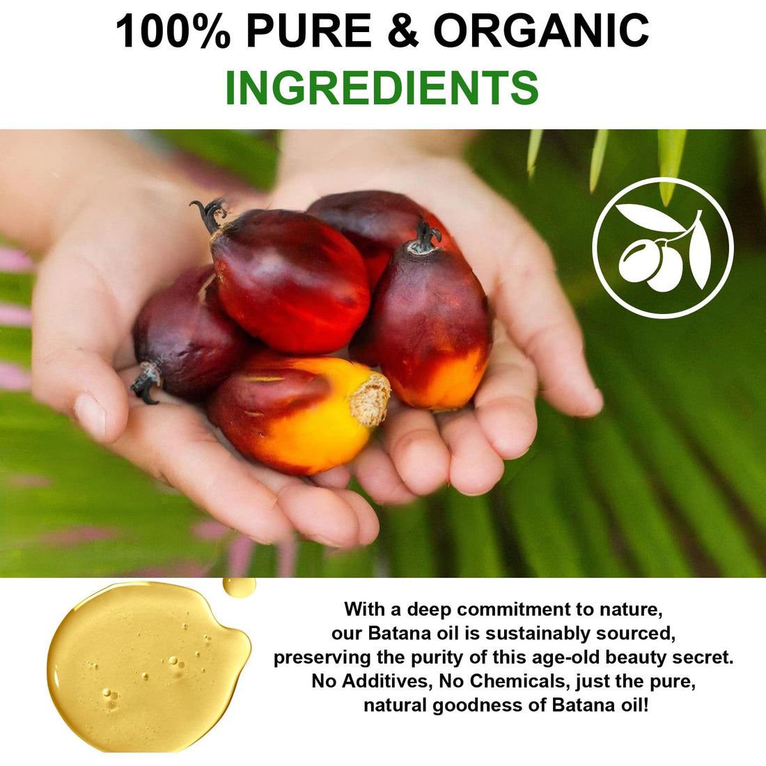 Batana Oil for Hair Growth, 100% Pure Natural Batana Oil Organic for Hair Growth, Moisturizing Skin and Hair Care for Dryness and Roughness, Anti-aging (2.02 Fl Oz (Pack of 1))