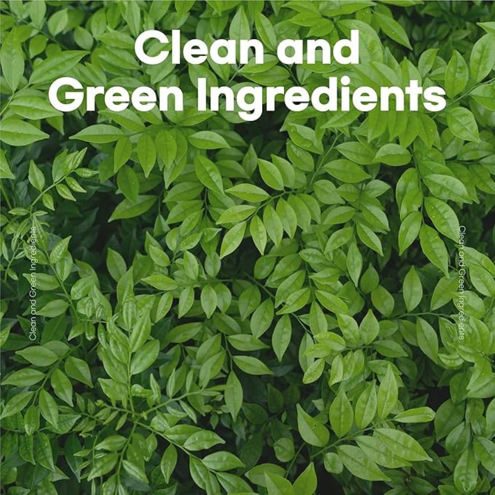 skybottle Perfumed Body Lotion with Pump, Fast Absorbing, Korean Skin Care, Bergamot, White Rose Scented Lotion for Women & Men, Girls Valentine Gift, 10.1 Fl. Oz