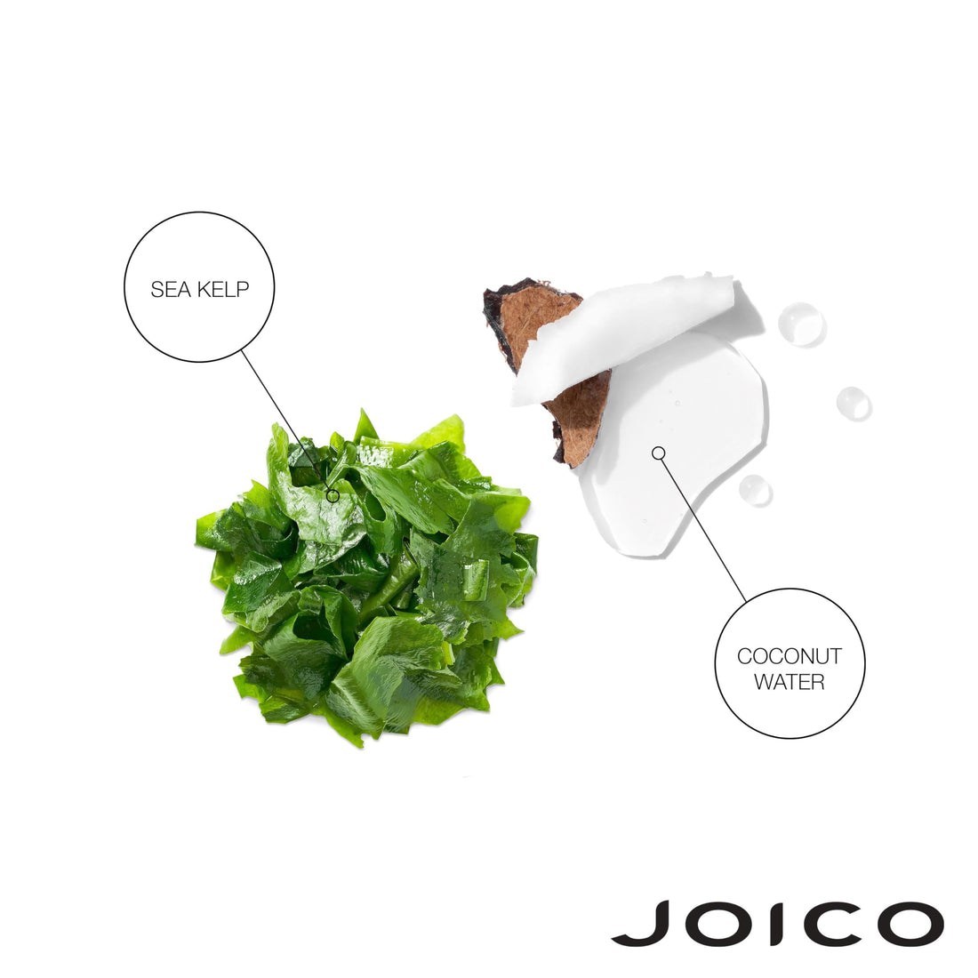 Joico HydraSplash Hydrating Shampoo | For Fine, Medium, Dry Hair | Replenish Moisture | Add Hydration & Softness | With Sea Kelp & Coconut Water | 33.8 Fl Oz