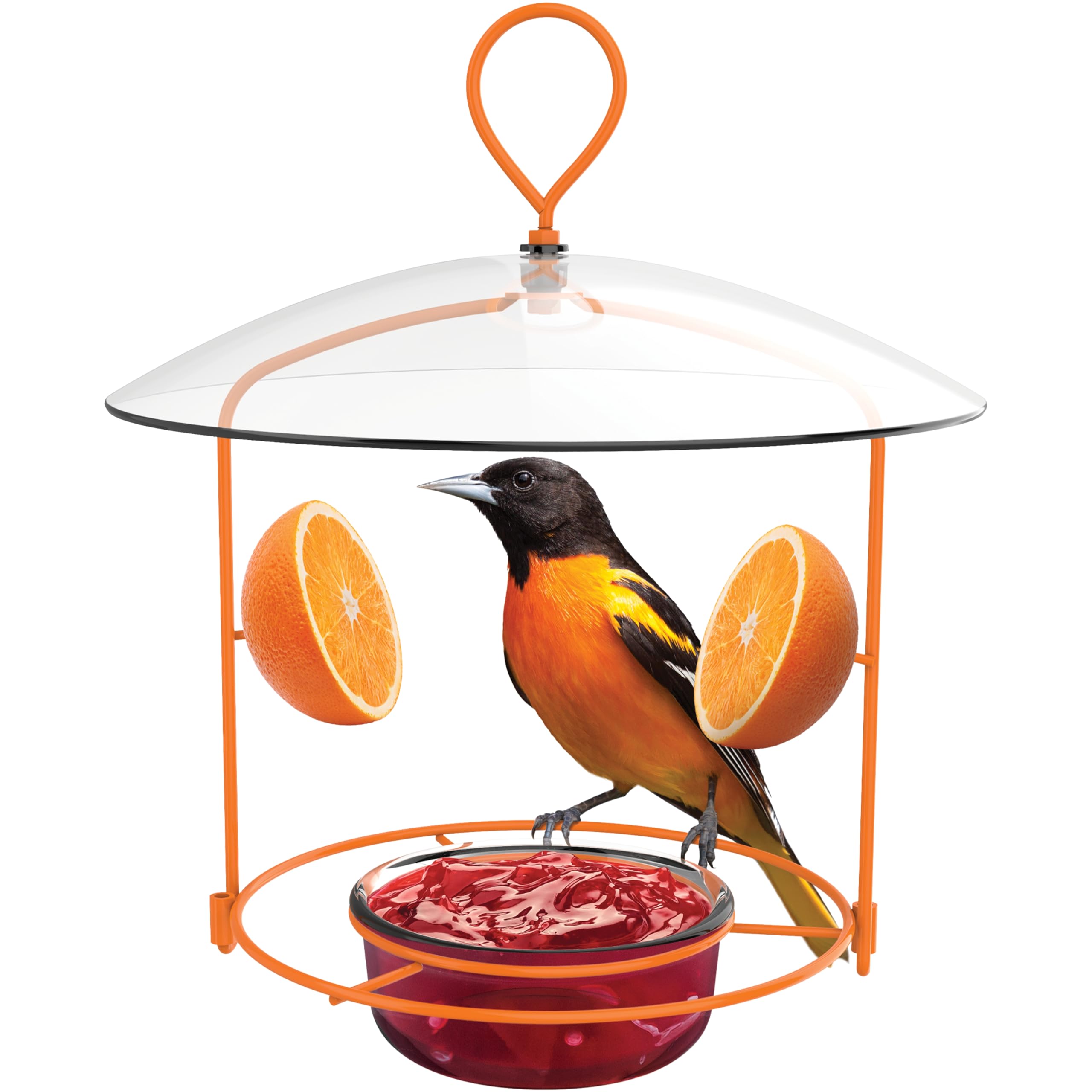 Nature's Way OFM1 Wire Oriole Feeder