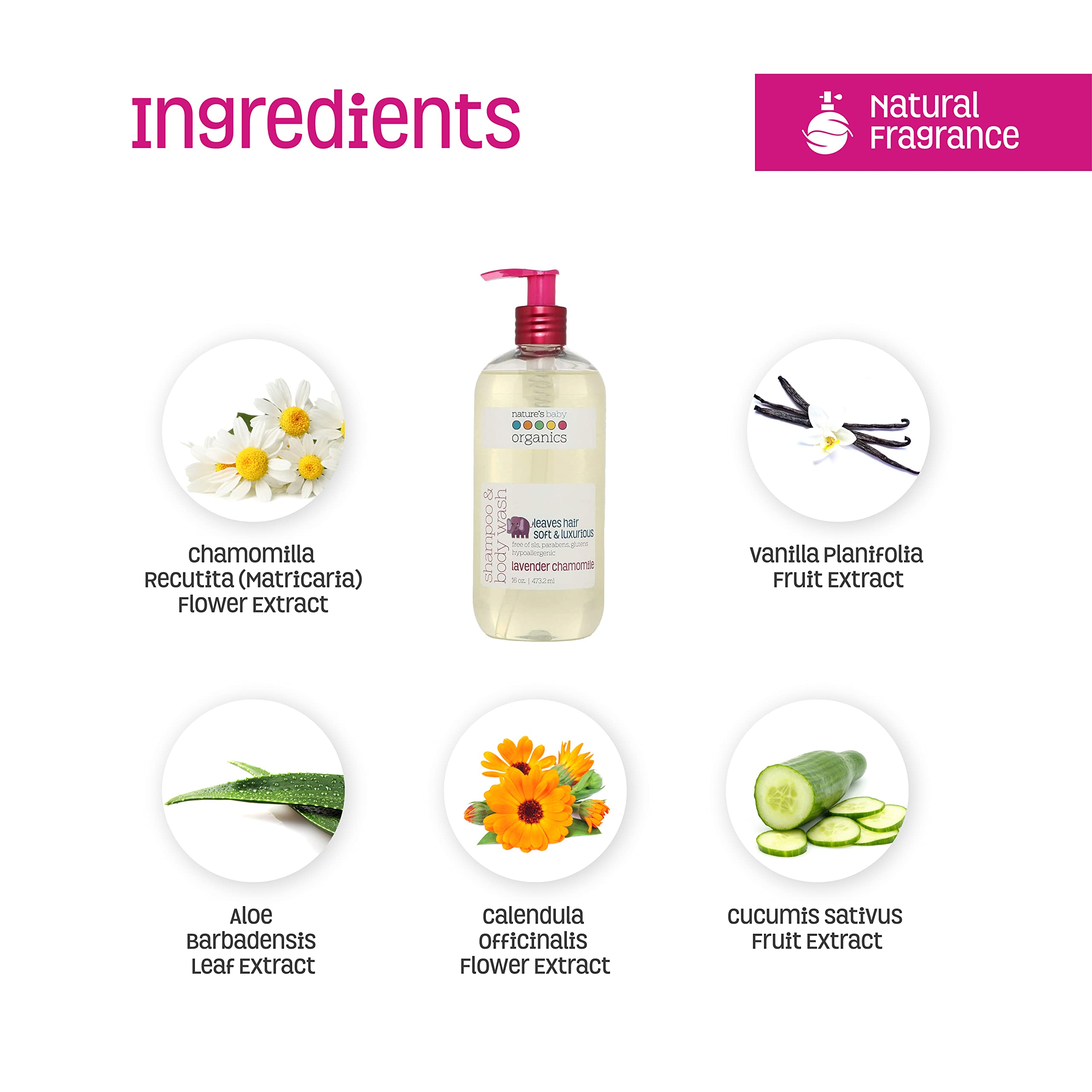 Nature's Baby 3-in-1 Baby Shampoo/Body/Face Wash - Formulated for Problem and Sensitive Skin - No Sulfate or Artificial Fragrances - pH Neutral & Tear Free - Lavender Chamomile 16 oz