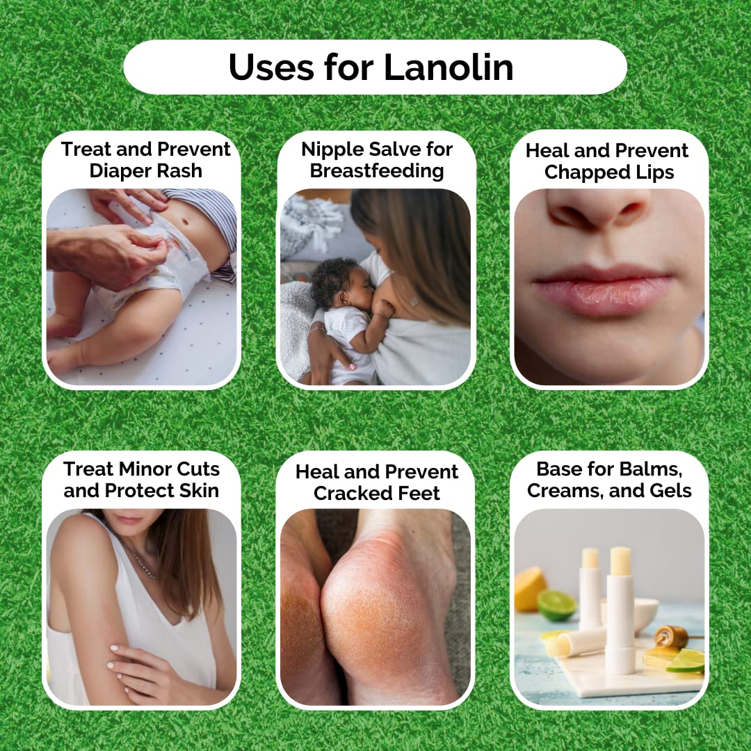 Kyabo Pure Lanolin 1lb Jar - All-Natural Emollient for Dry Skin, Chapped Lips, and More - Moisturizing, Hydrating, and Soothing - Ideal for Skincare and DIY Beauty Products Organic (16oz/1lb Jar)