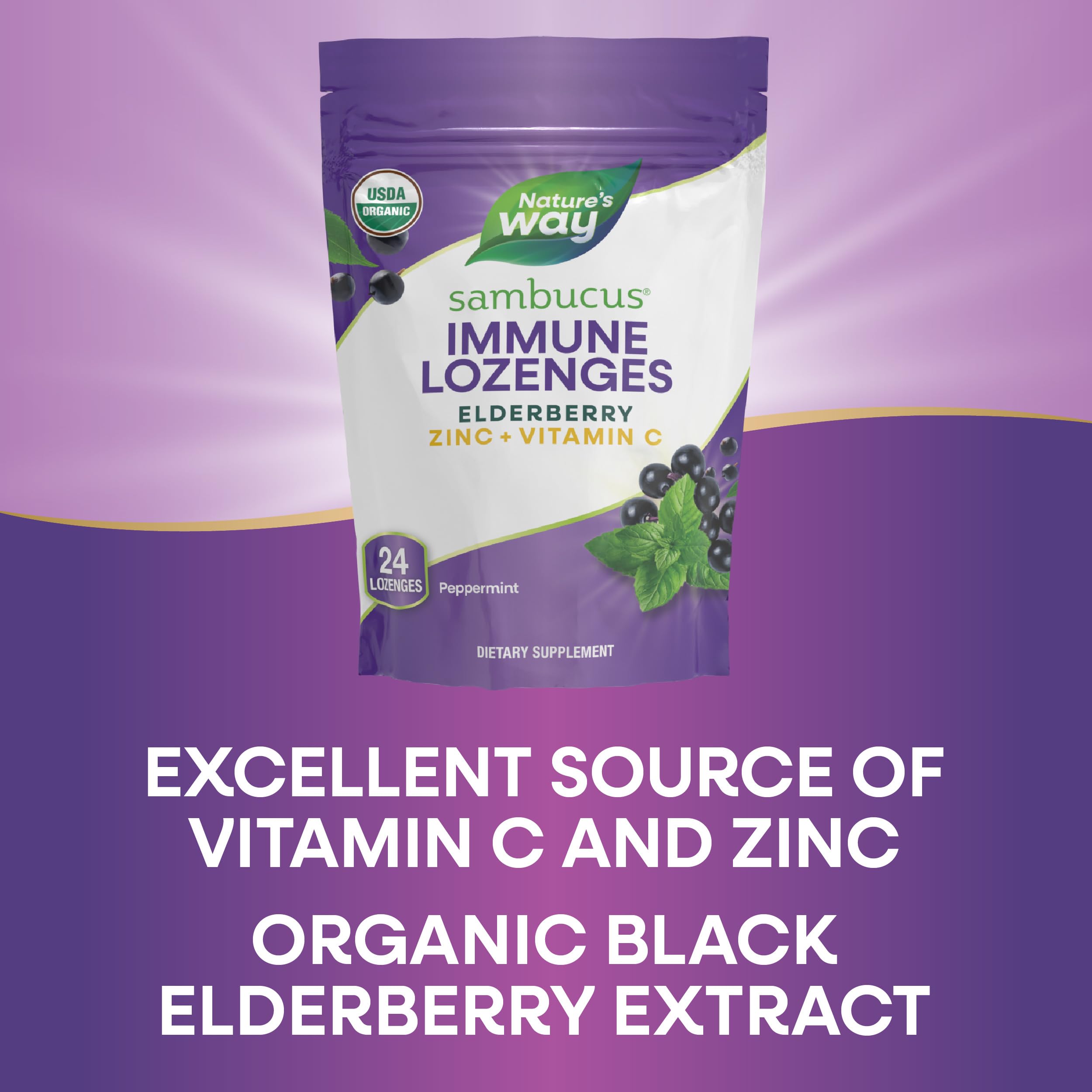 Nature’s Way Sambucus Zinc Lozenges with Elderberry and Vitamin C, Peppermint Flavored, 24 Lozenges