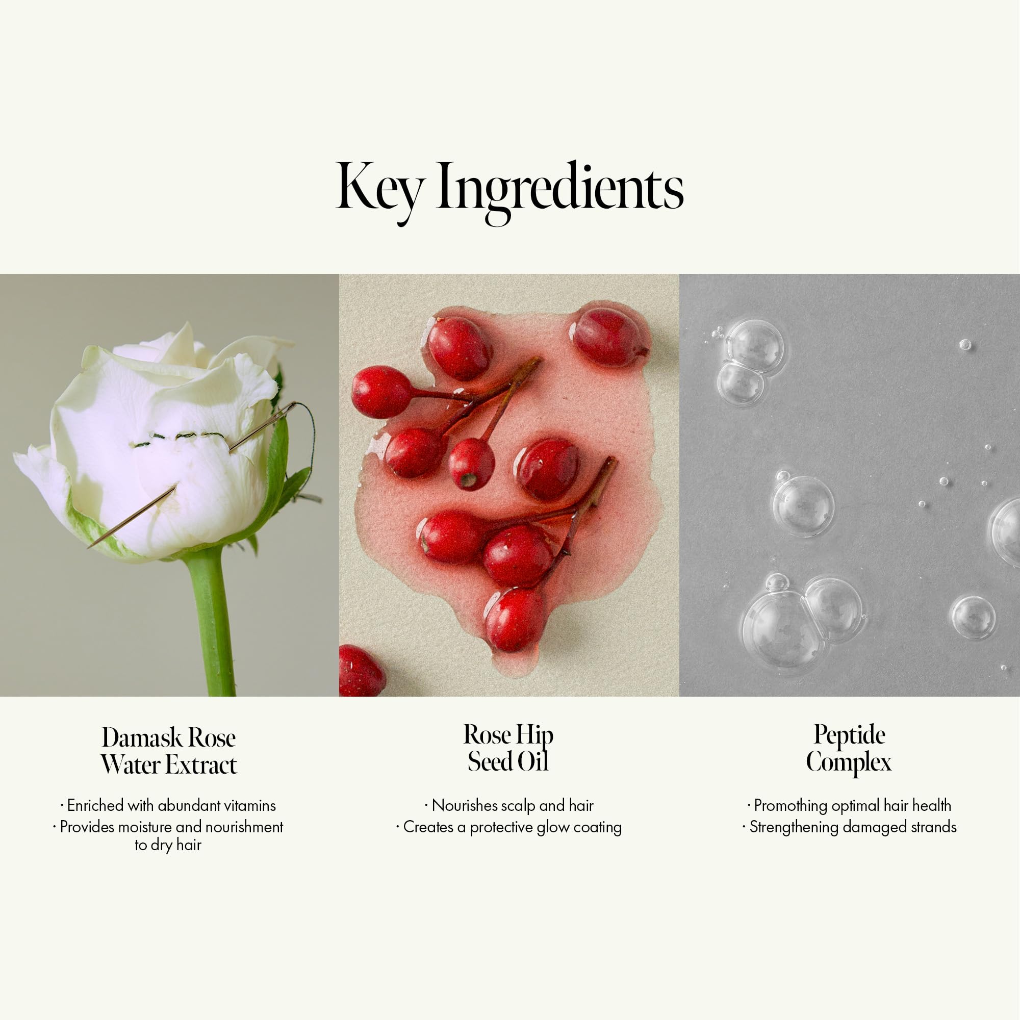 Rosy Night Repair Hair Ampoule Treatment – Water-to-Cream Formula for Damaged & Frizzy Hair – Protein, Peptide & Amino Acid – Color Safe, Sulfate & Paraben Free, Musky Floral Scent, 6.76 fl. oz