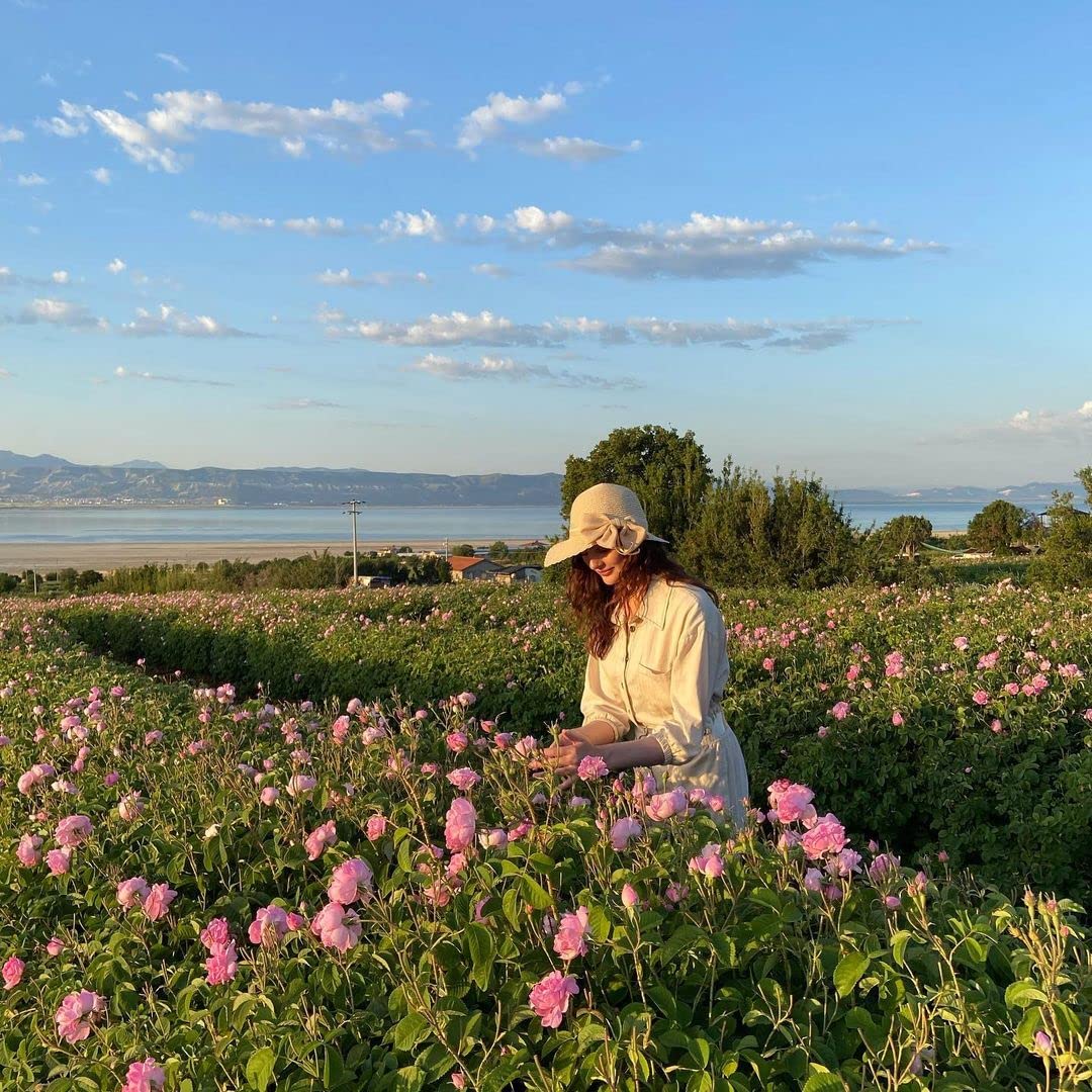 Rosense Glass Bottle Rosewater Hydrating Facial Toner/Rose Water Face Mist 6.8 Oz