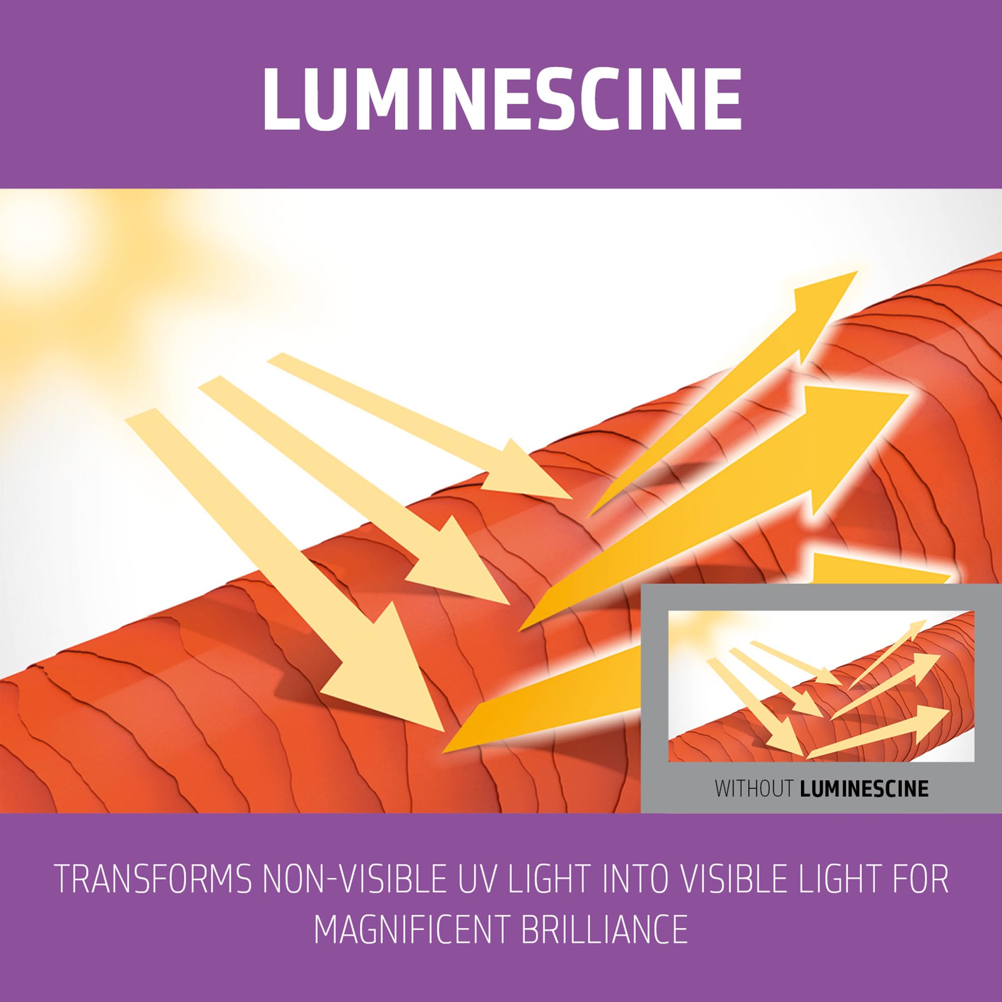 Goldwell Dualsenses Blondes & Highlights Anti-Yellow Conditioner 300mL