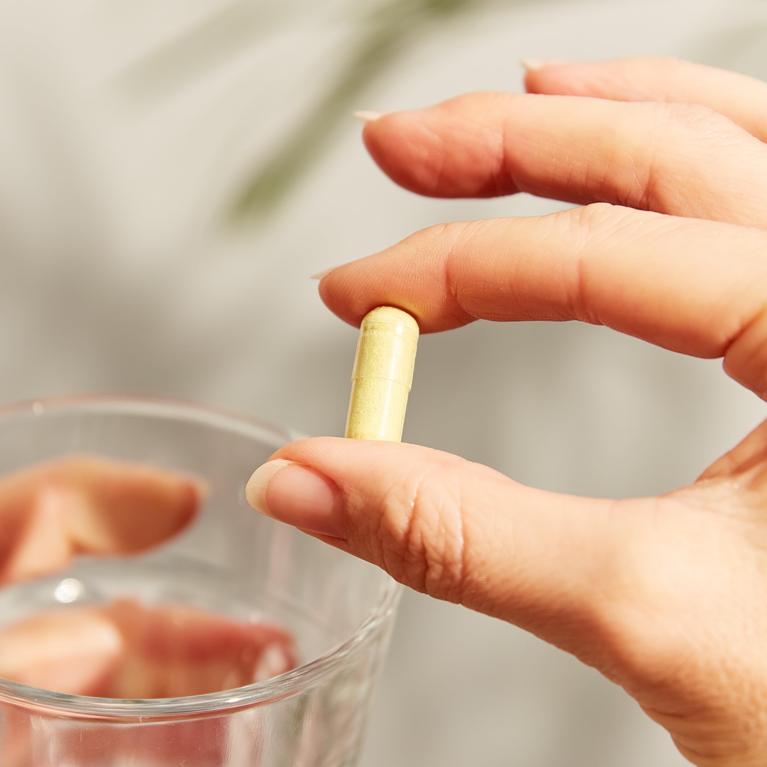 Solgar Quercetin Complex with Ester-C Plus, Unique Synergistic Formulat Immune Health Support, 100 Vegetable Capsules