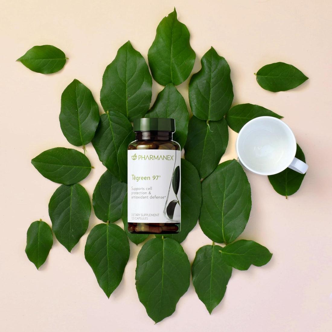 Nu Skin Pharmanex Tegreen 97 Cell Protection | 120 Count | Antioxidant Support for Healthy Cell Function | Proprietary Green Tea Extract