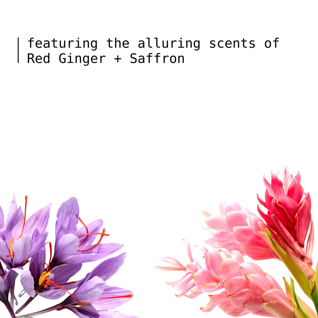 Natural Organic Soap Bar with Turmeric for Face and Body, Antibacterial Exfoliating Bar Soap with Shea Butter Moisture, Essential Oils, Bar Soap for Women and Men, 4oz, 1 Turmeric Soap Bar