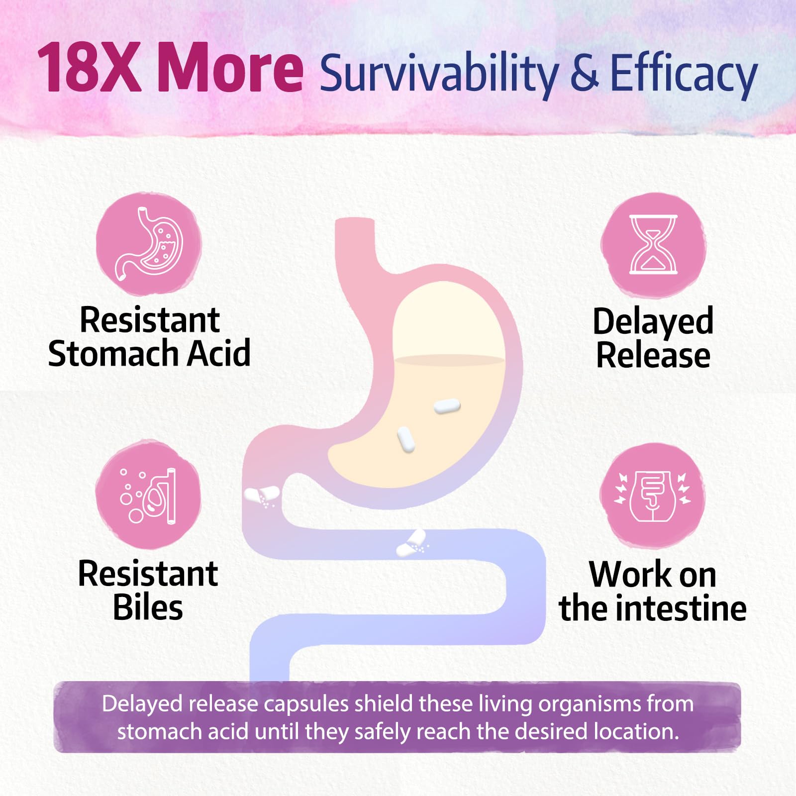 Bonawell Probiotics for Women 100B, with Prebiotics, Digestive Enzymes & Organic Cranberry for Female Vaginal Health, Digestion & Immunity, Shelf-Stable, Delayed-Release, 30 Veggie Caps