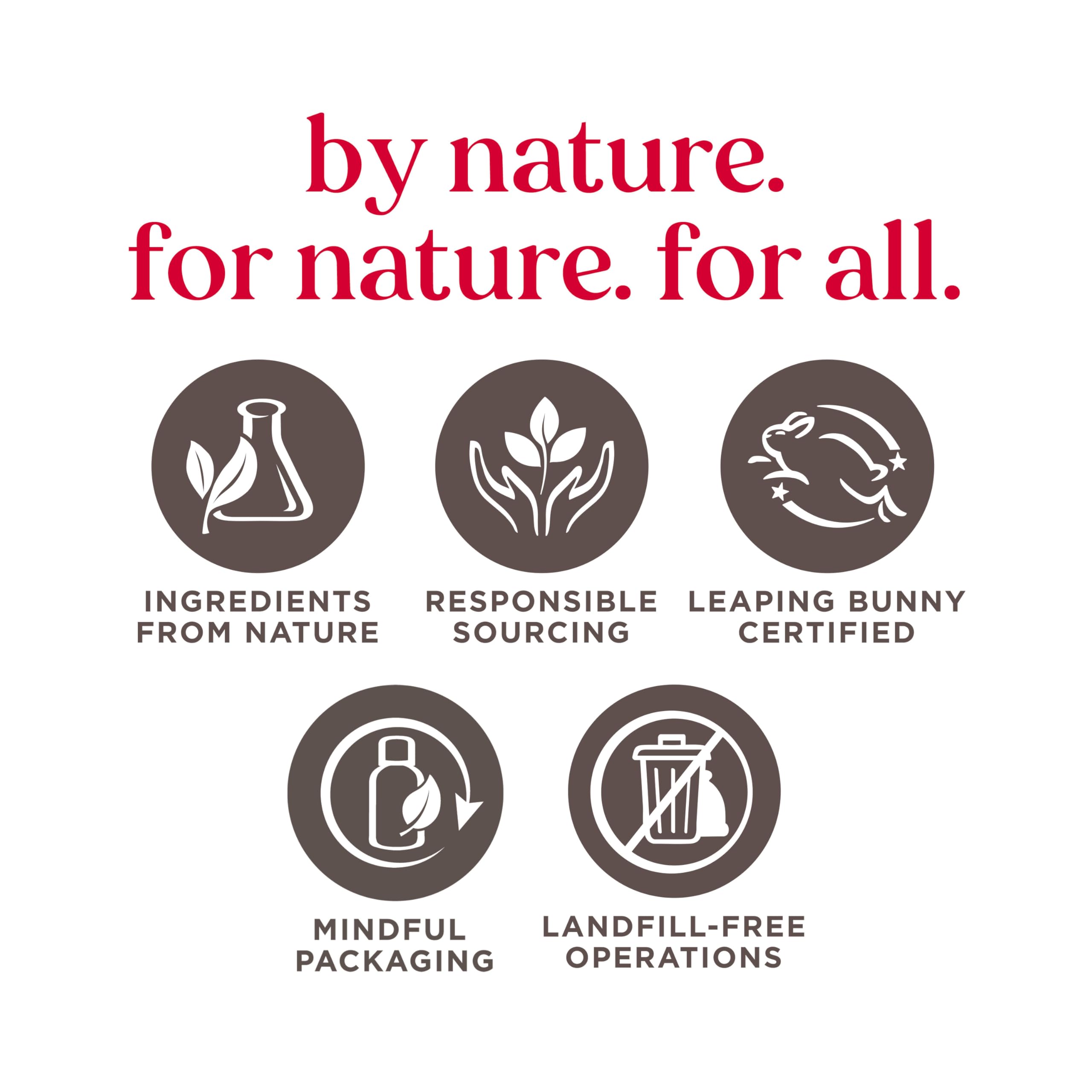 BURTS BEES Lily Dip Lip Gloss, 14 GR