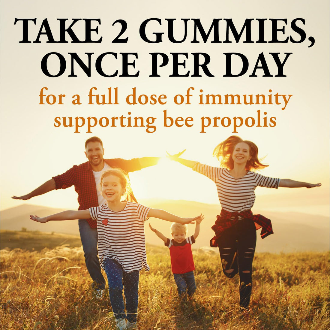 Dutchman's Gold Propolis Immunity Gummies, 60 CT