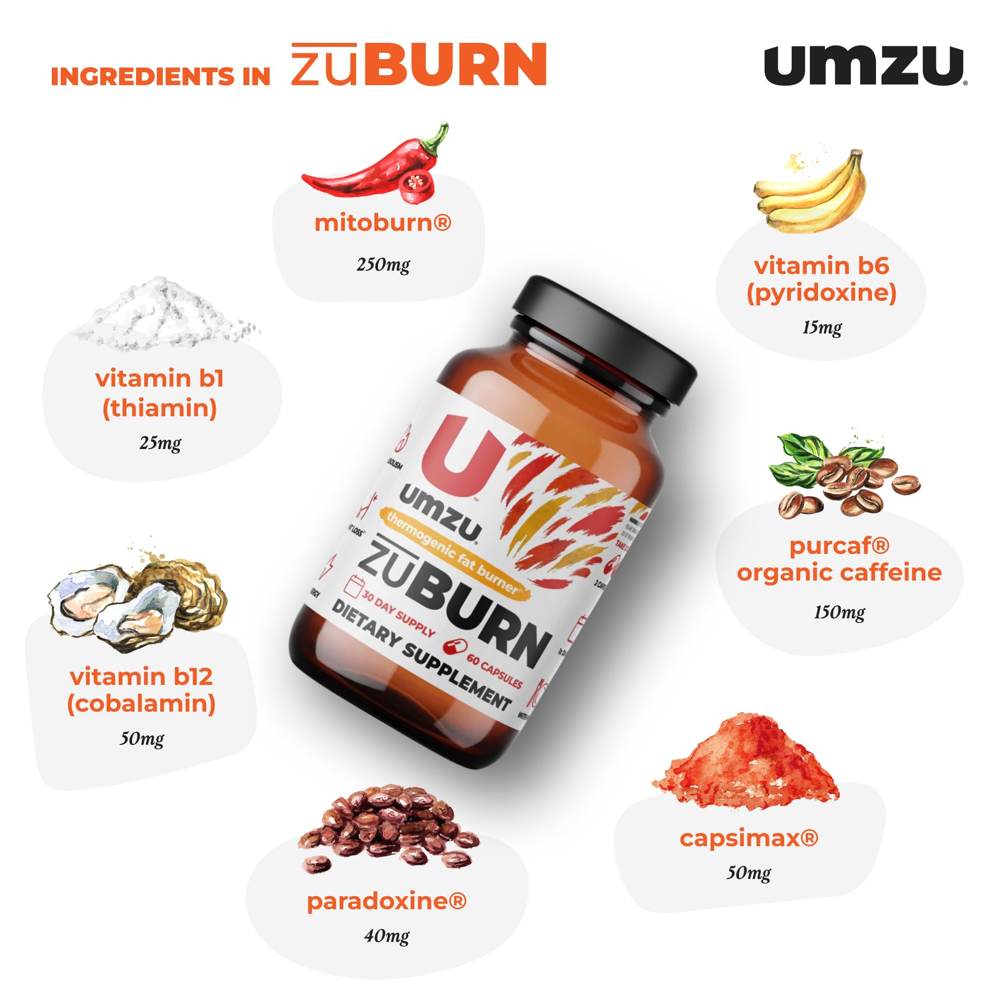 UMZU ZuBurn Thermogenic Fat Burner Supplement for a Healthy Body Composition | Natural Ingredients to Support Metabolism, Increase Calorie Burn & Reduce Body Fat* (30 Day Supply | 60 Capsules)