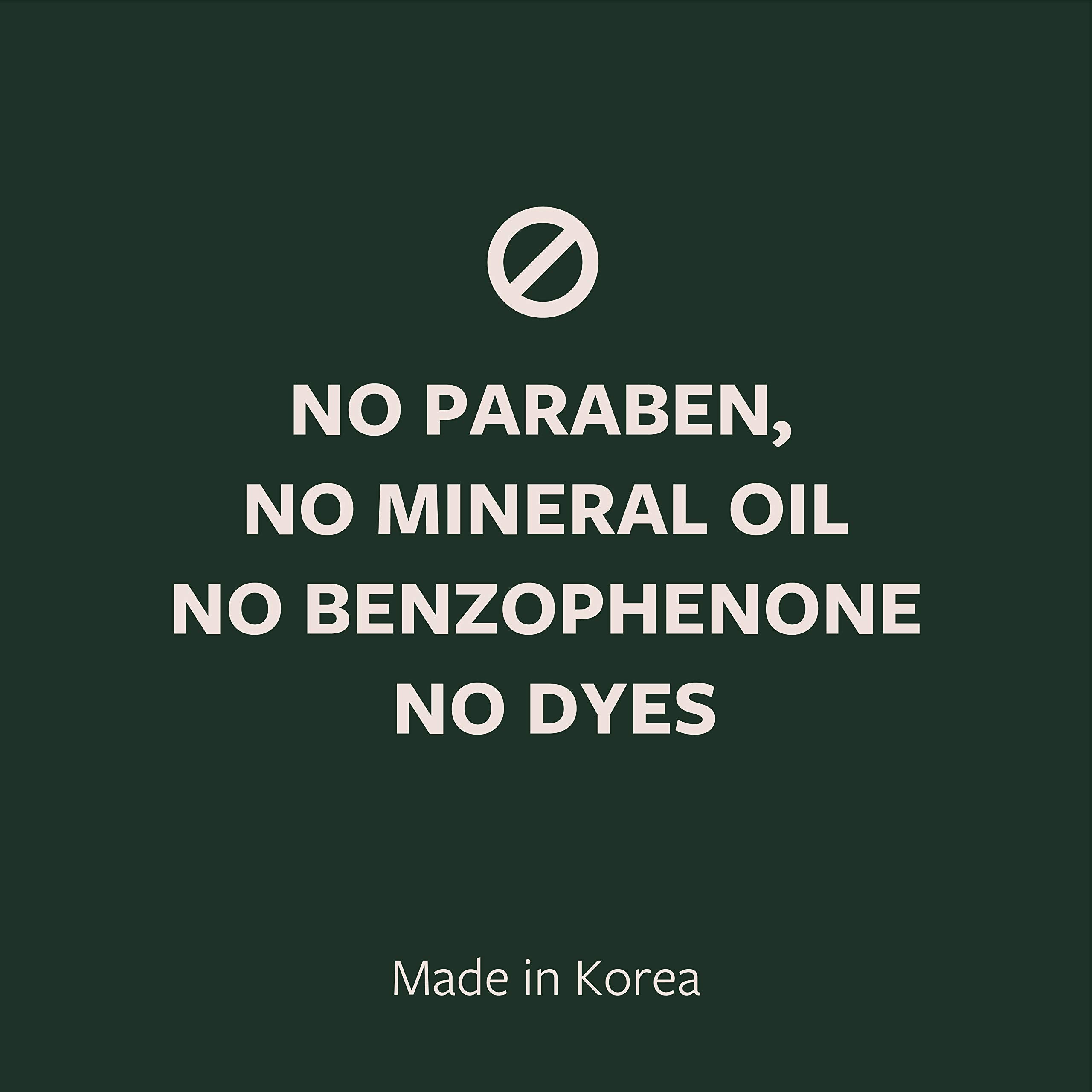 IBI Refreshing Green Tea Hand & Body Lotion | Includes 1 Green Tea Hand & Body Lotion (2 oz/ 60 mL) & 1 Green Tea Hand & Body Lotion (25 oz / 750 mL)