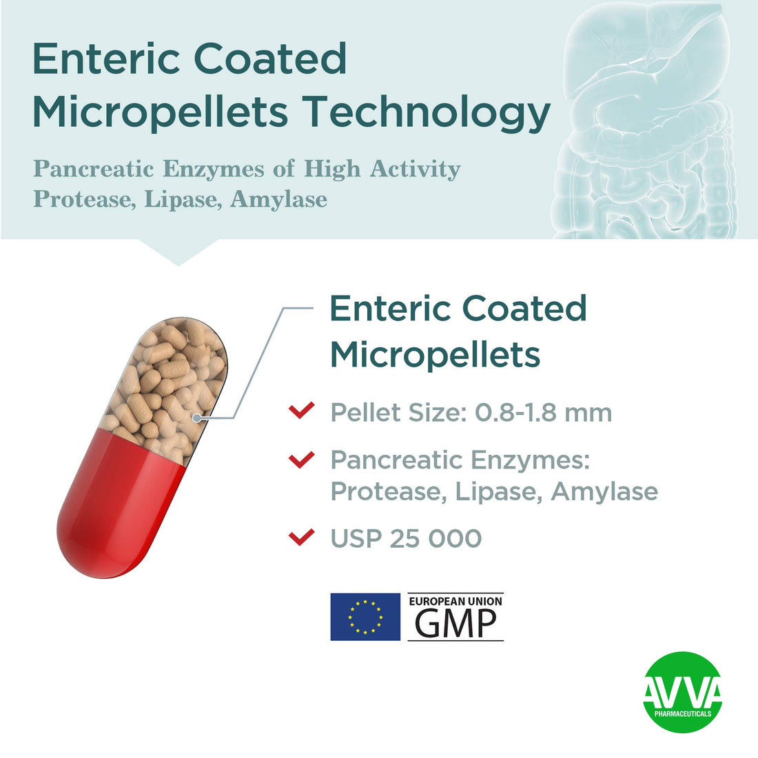 Micrazym AVVA Pharm Pancreatic Enzymes - 25,000 USP Effective Pancreatic Enzyme Supplements - Digestive Enzymes for Digestion - 50 Fast-Acting Capsules with Amylase, Lipase and Protease