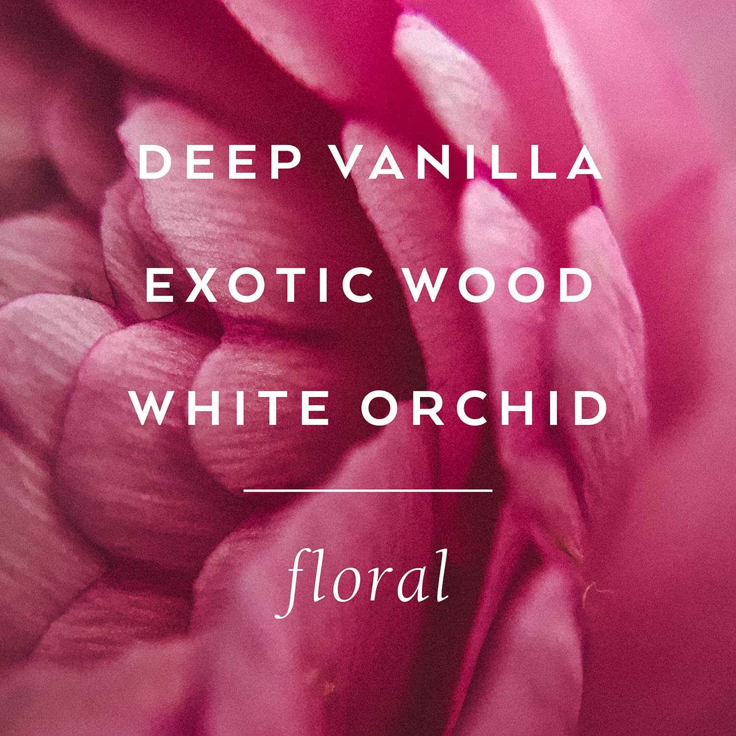 Dead Sexy Boxed Embossed Skull Eau De Parfum