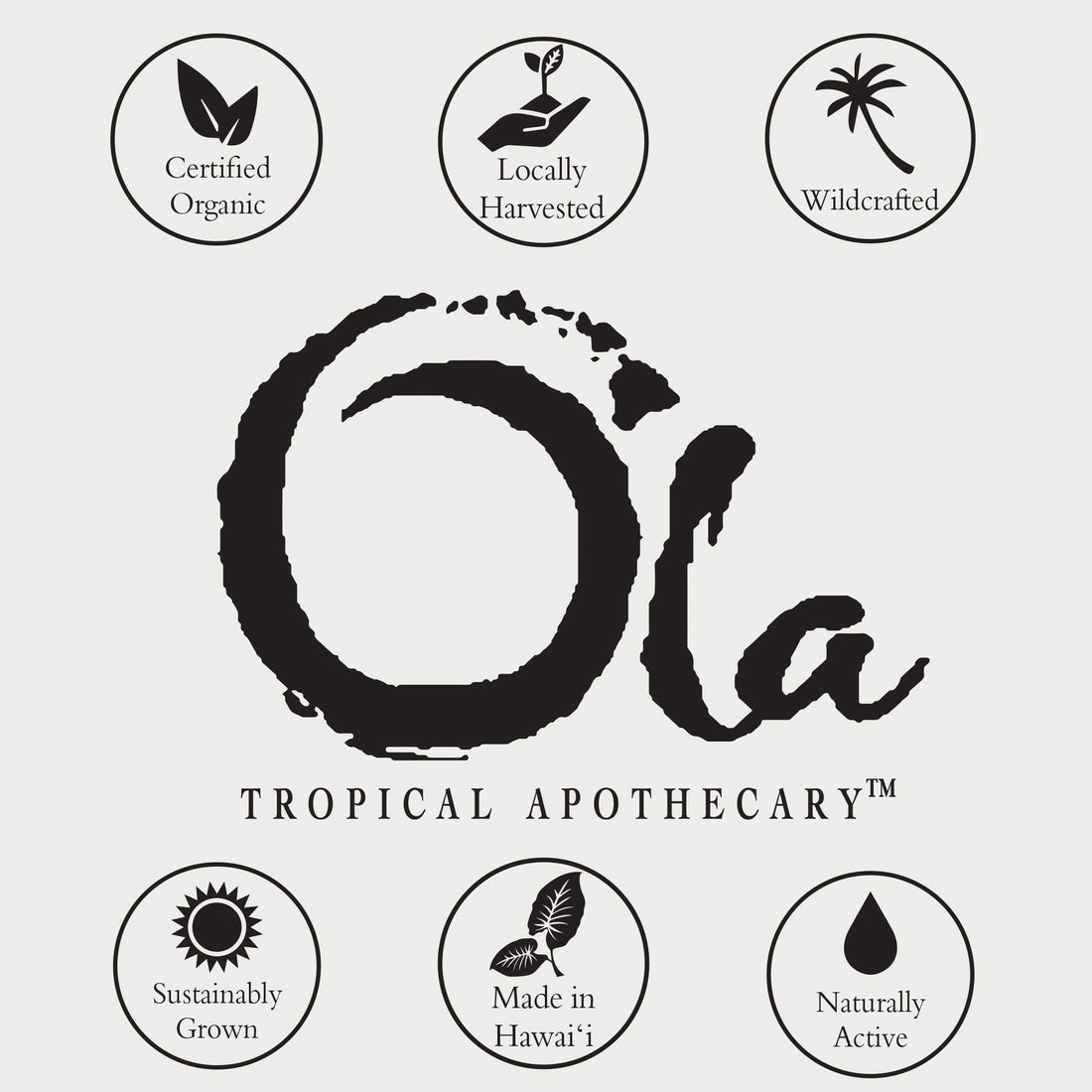 Ola Tropical Apothecary Pikake Body Butter with Pure Tropical Oils and Plant Extracts - 4.9 oz