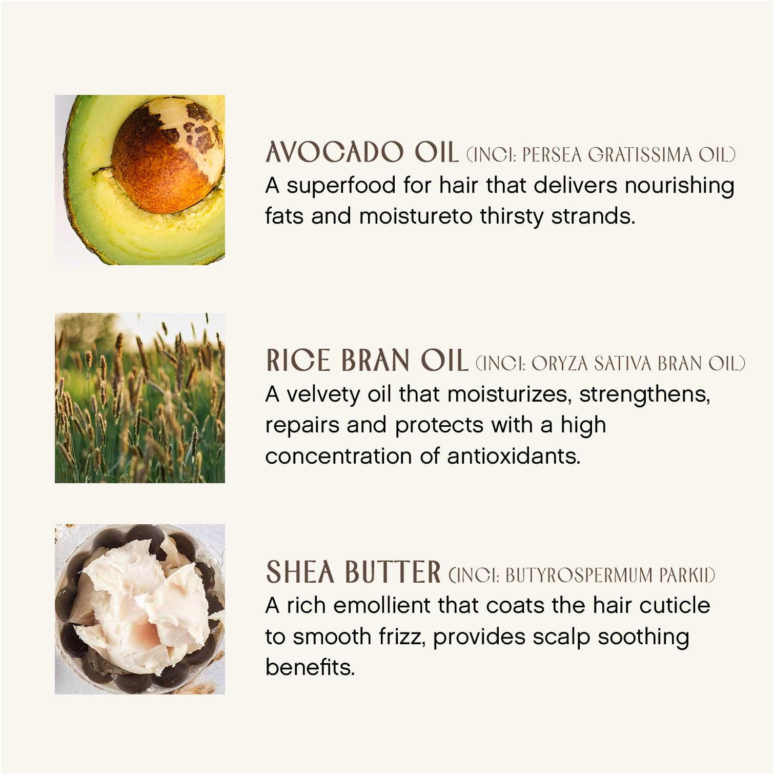 INNERSENSE Organic Beauty - Natural Color Radiance Daily Conditioner | Non-Toxic, Cruelty-Free, Clean Haircare (10 fl oz | 295 ml)