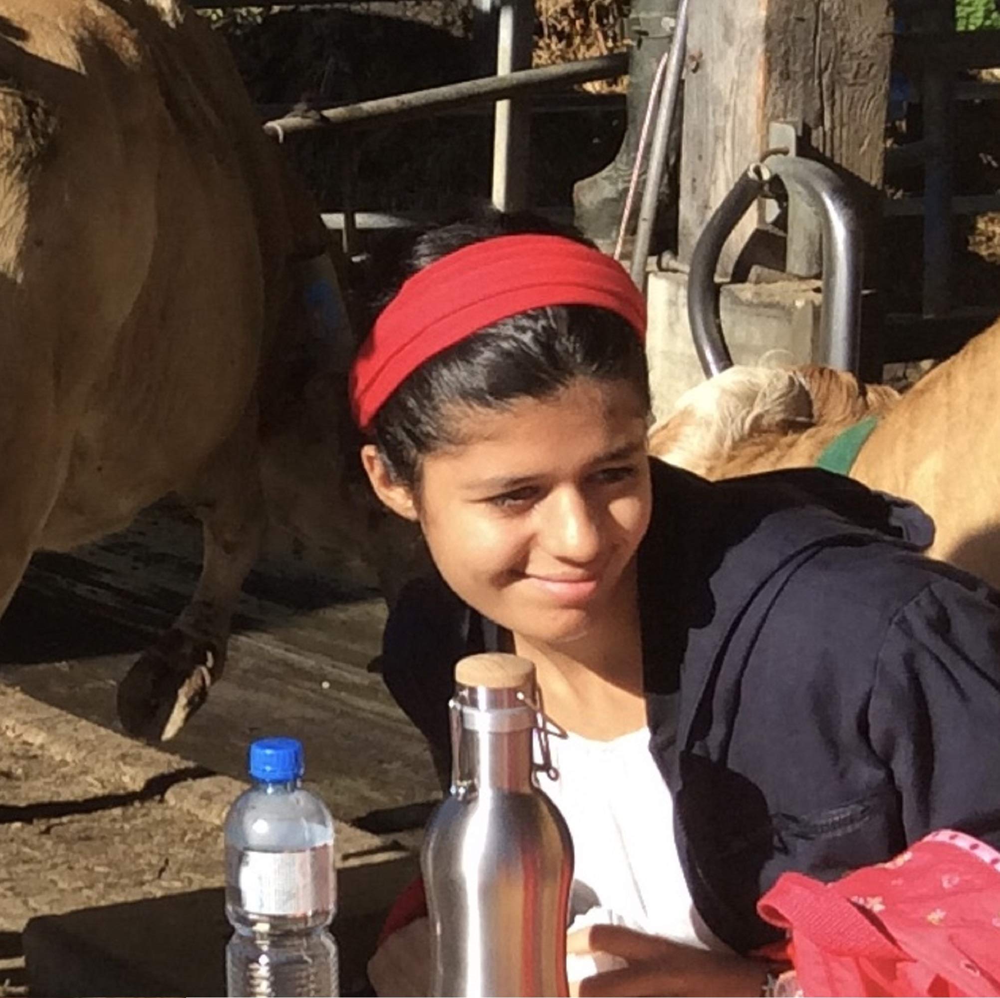 Kenz Laurenz Soft and Stretchy Elastic Cotton Headbands, (Pack of 12) - Purple