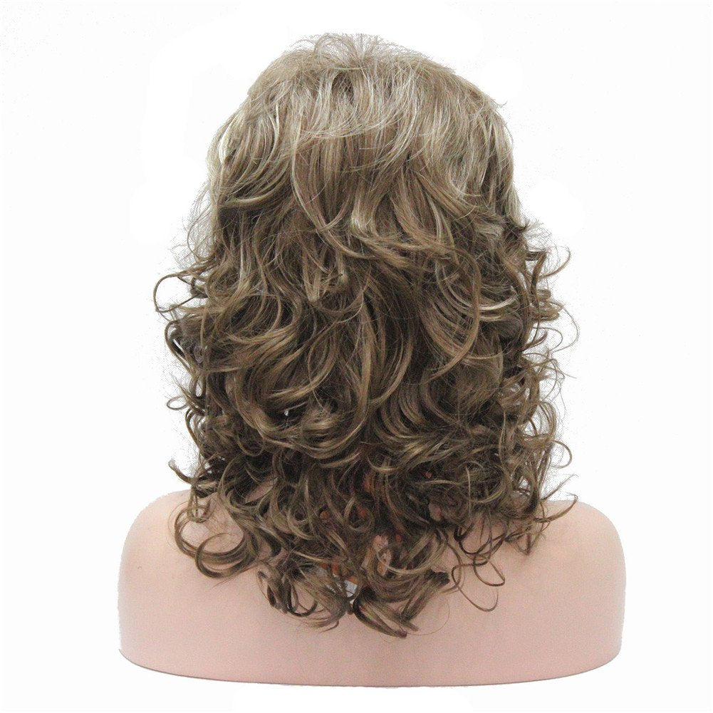 #12TT26-Brown Highlighted: Aimole Women's Natural Long Curly Wig Synthetic Hair Full Wigs(12TT26-Brown Highlighted)