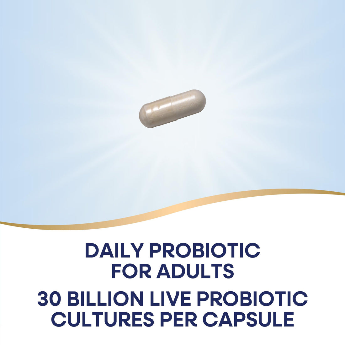 Nature's Way Fortify Daily Probiotic With Prebiotic for Men and Women, Probiotics for Immune and Digestive Health Support*, 30 Billion Live Cultures, 30 Capsules