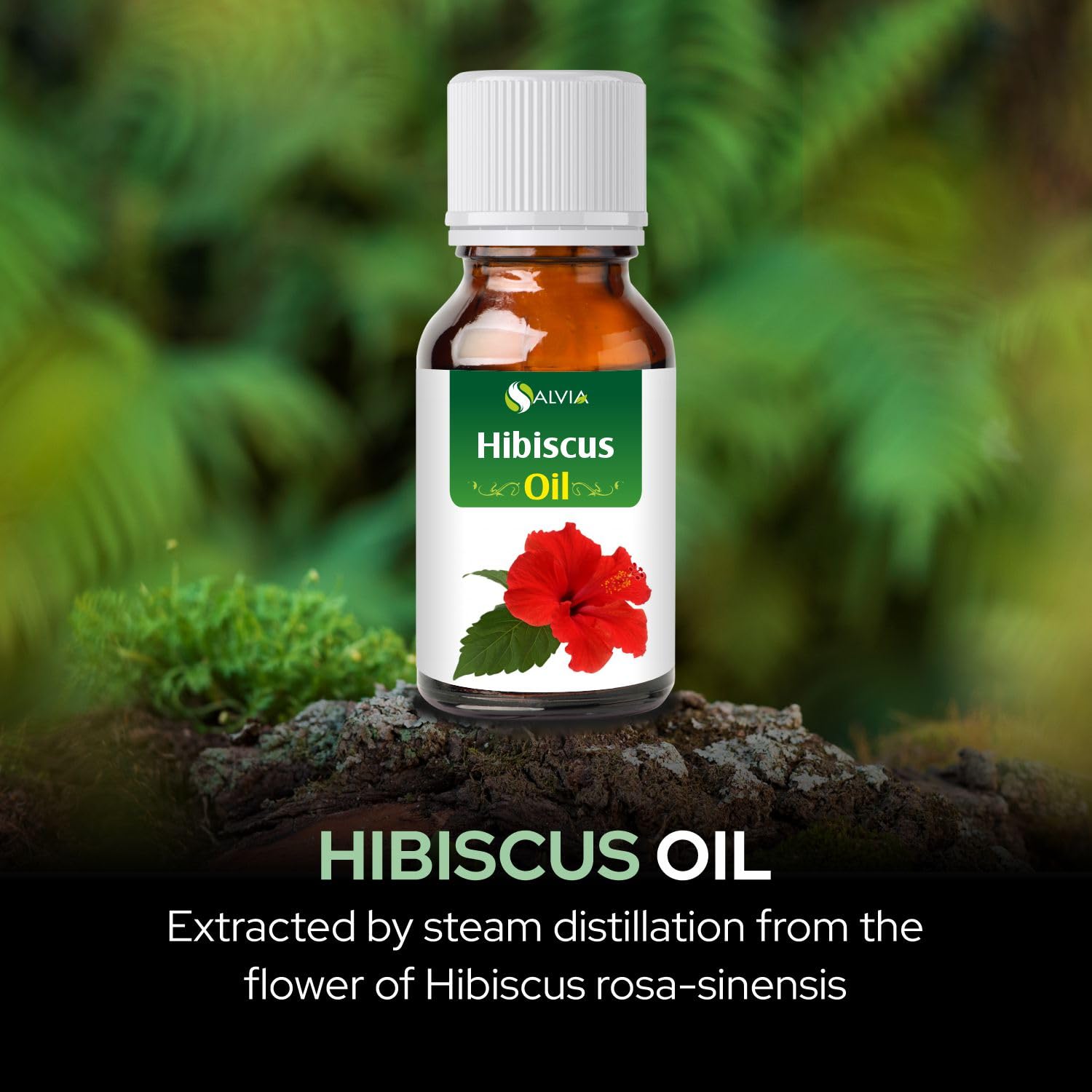 Hibiscus (Hibiscus Sabdariffa L) Essential Oil 100% Pure Uncut Undiluted Cold Pressed Herbal Premium Aromatherapy Oil - 30ML/ 1.1fl oz
