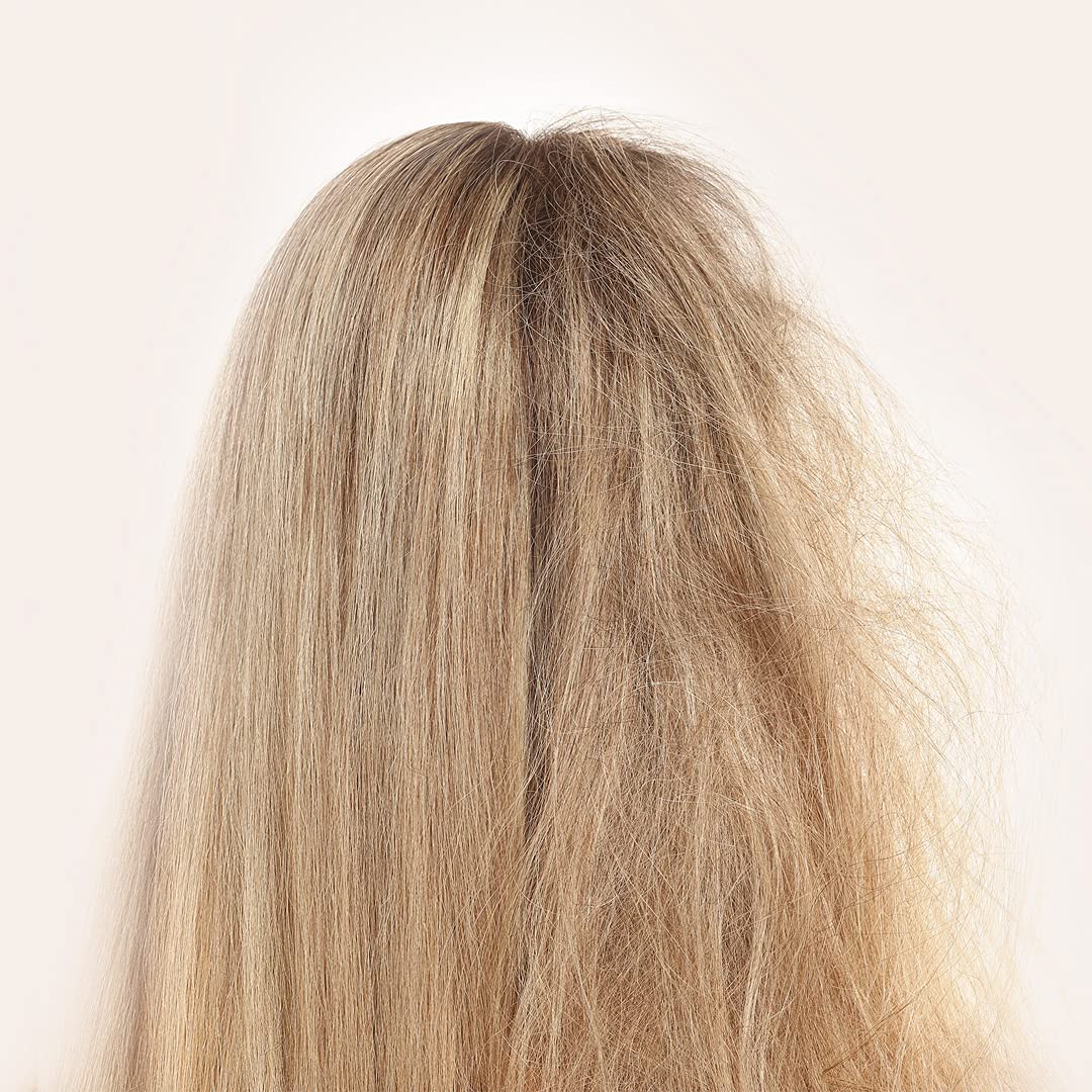 RAUSCH (Deutschland) GmbH RAUSCH Egg-Oil Nourishing Shampoo 200 ml