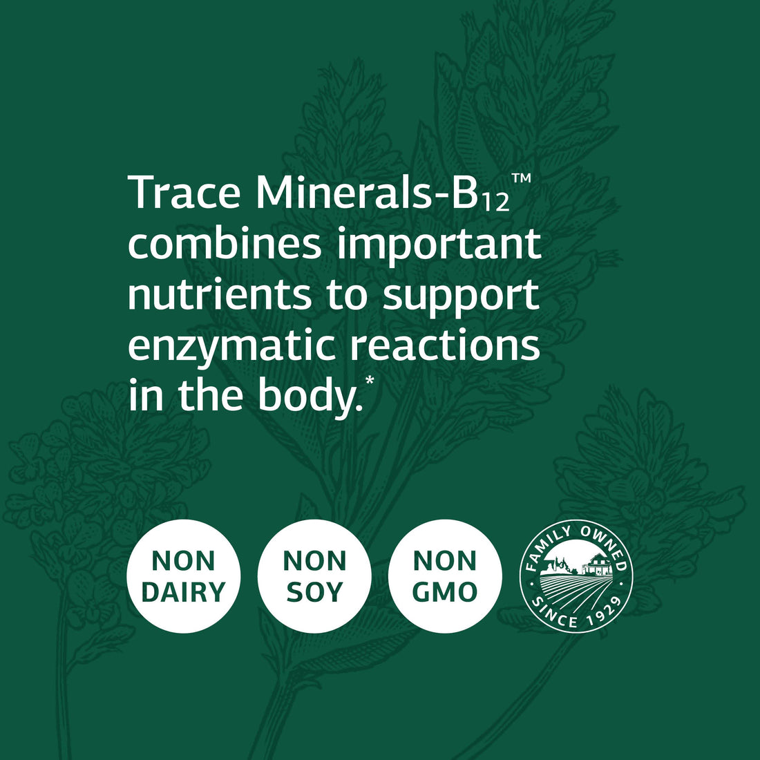 Standard Process Inc. Trace Minerals-B12 - Whole Food Spleen, Bone Health, Immune Support, Metabolism and Thyroid Support with Manganese, Kelp, Iodine, Copper, Vitamin B12, Zinc, Iron - 90 Tablets