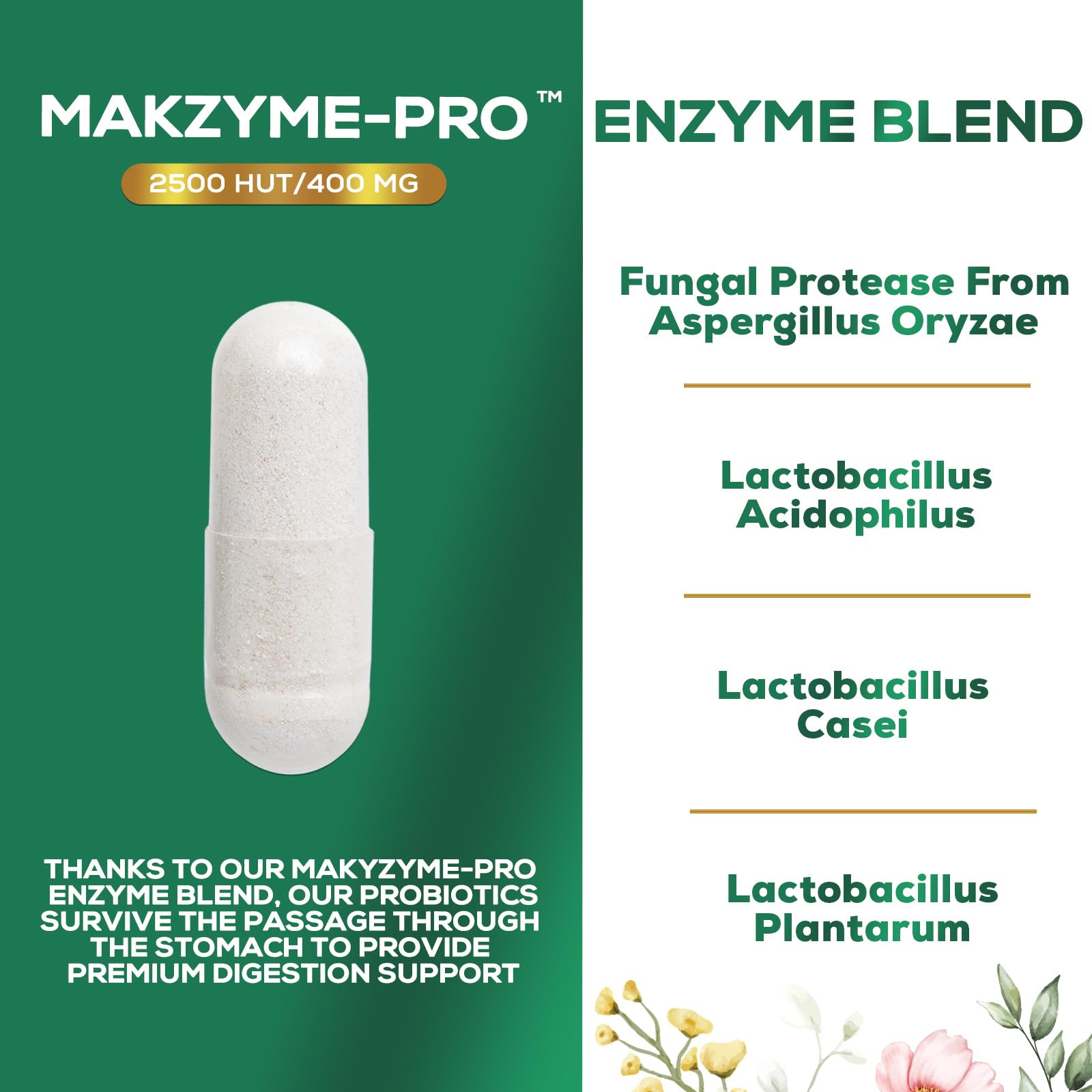 Digestive Enzymes with Probiotics - Probiotic Multi Enzymes with Probiotics and Prebiotics for Digestive Health and Bloating Relief for Women and Men, Daily Enzymes for Gut & Digestion - 120 Capsules
