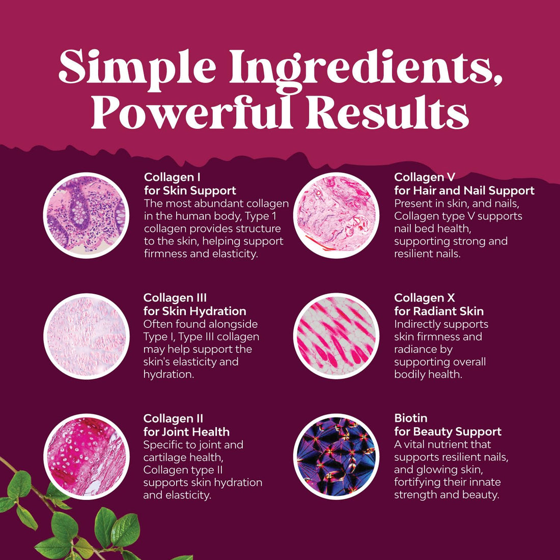 Advanced Multi Collagen Complex - Ageless Multi Collagen Peptides Supplements with Type 1 2 3 5 & X & Biotin for Hair, Skin and Nails Vitamins - Biotin Supplements for Women & Men - 90 Count