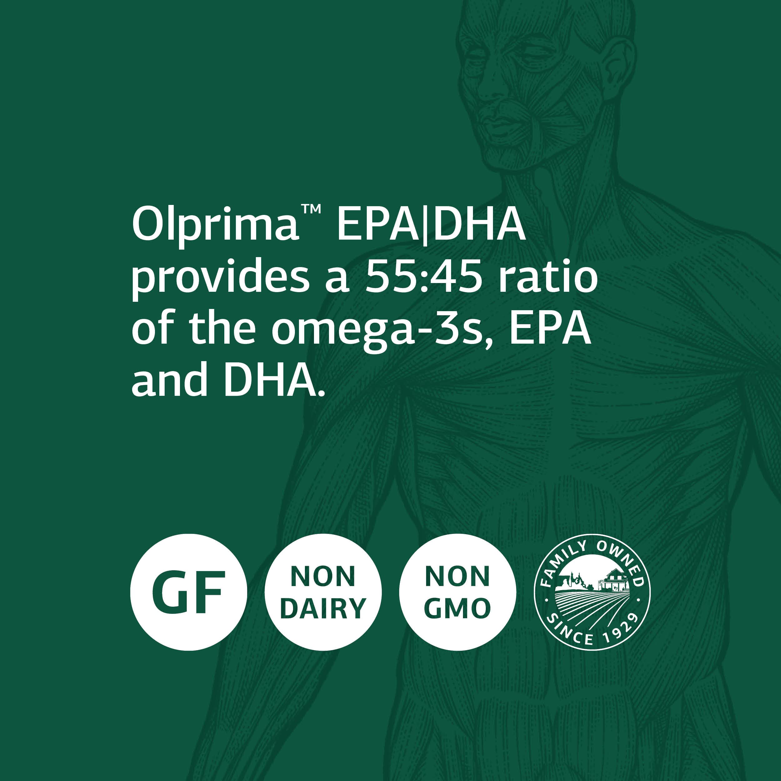 Standard Process Inc. Olprima EPA/DHA - Whole Food Brain Health, Heart Health Support, Sardine and Anchovy Fish Oil, Omega 3 with Astaxanthin - Gluten Free - 60 Softgels