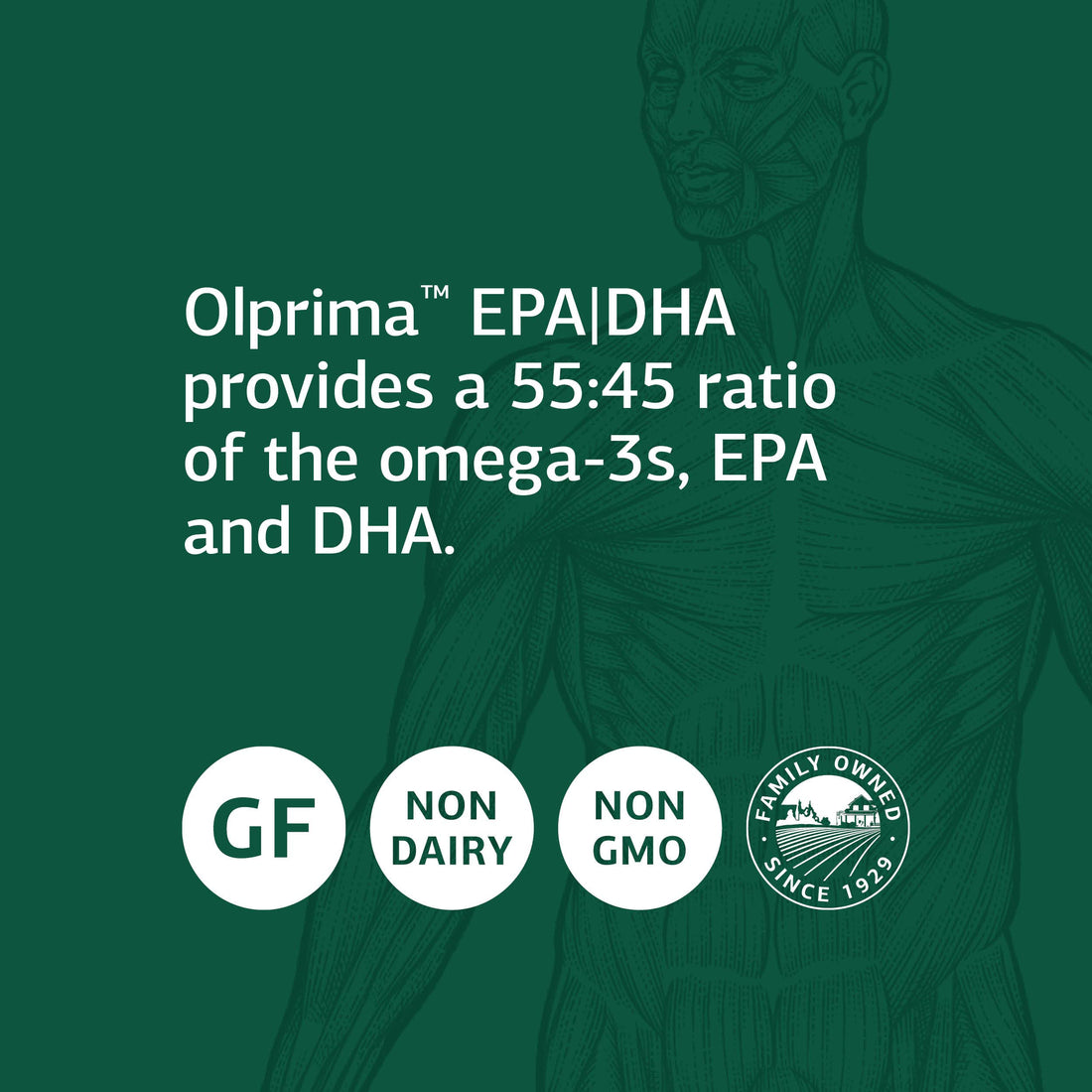 Standard Process Inc. Olprima EPA/DHA - Whole Food Brain Health, Heart Health Support, Sardine and Anchovy Fish Oil, Omega 3 with Astaxanthin - Gluten Free - 60 Softgels