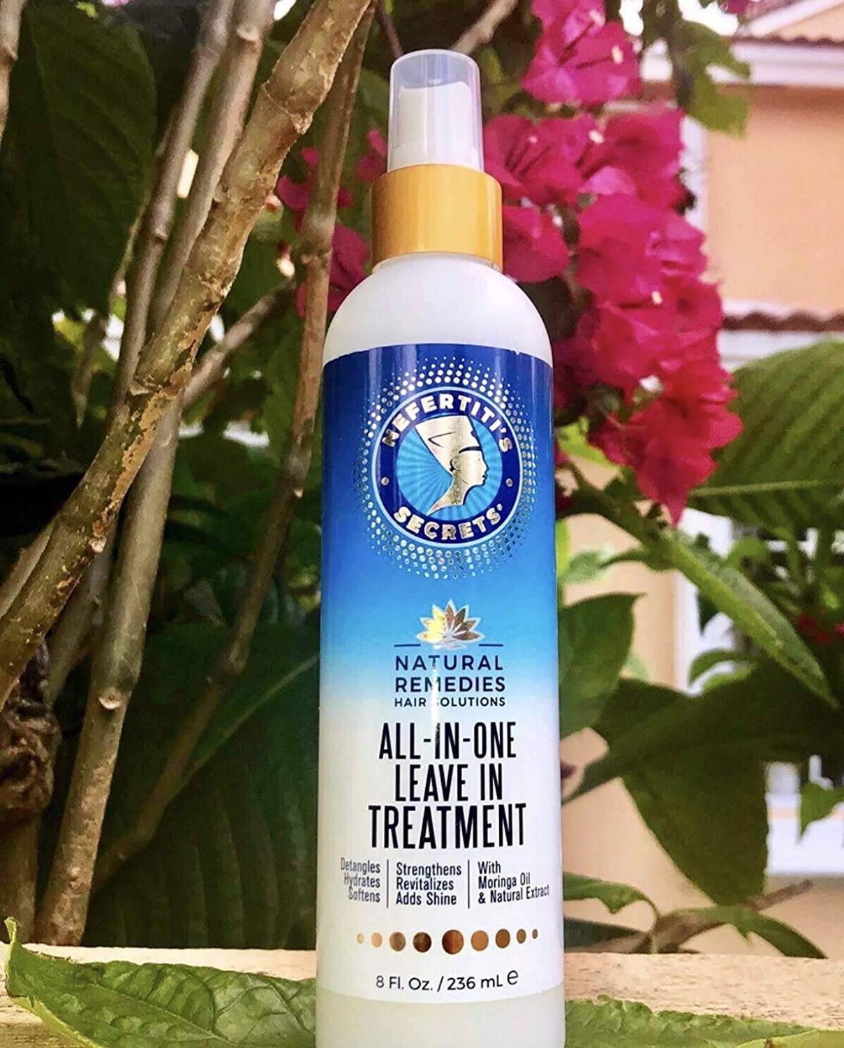 Nefertiti's Secrets All In One Leave In Treatment 8oz