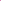 BACKSCRATCHERS Pink Extreme Powder Glaze