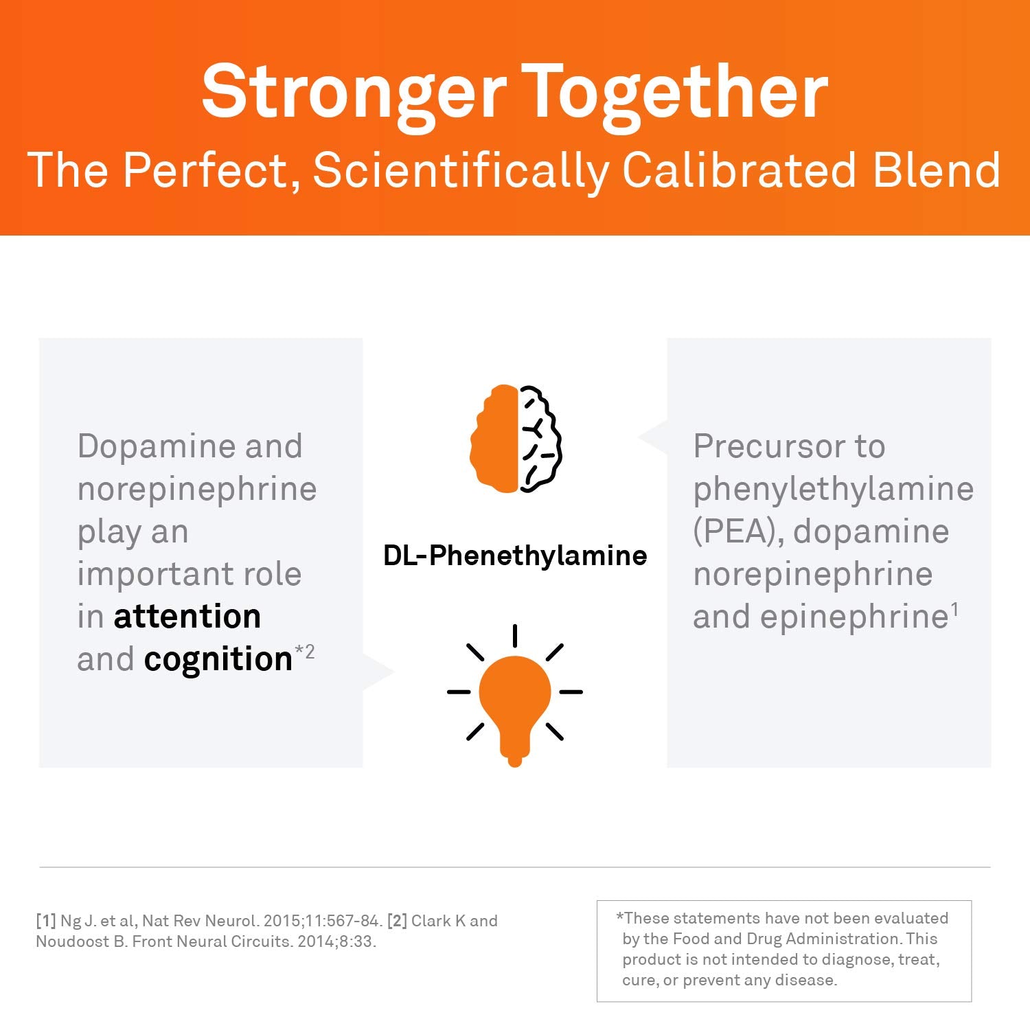 NeuroScience Focus DL Brain Supplements for Memory and Focus Support - Targeted Brain Health Supplements with 500mg of Amino Acid DL-phenylalanine - Support Attention & Productivity (60 Capsules)
