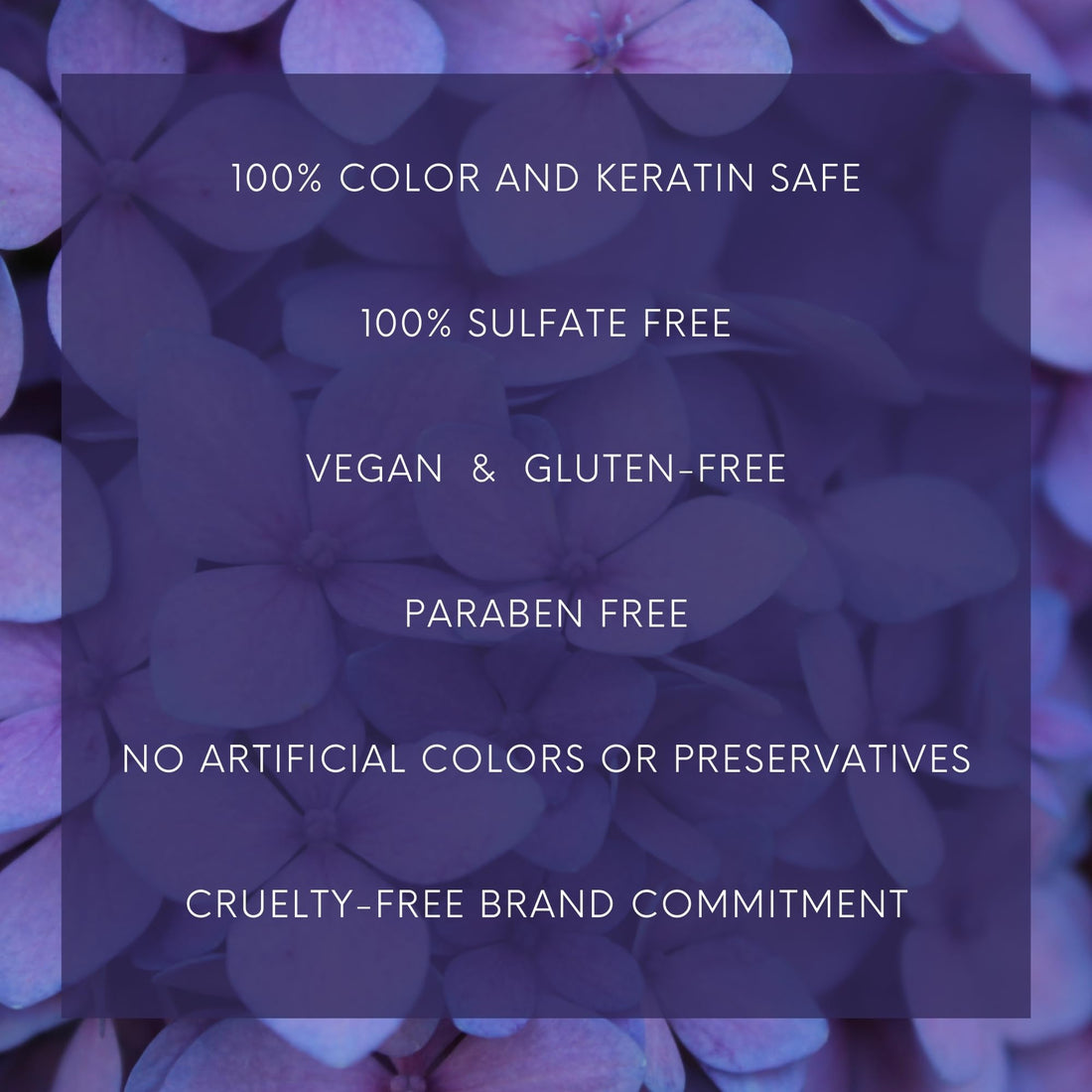 Mastey Traite Sulfate Free Normal To Dry Shampoo 32 Fluid Ounce