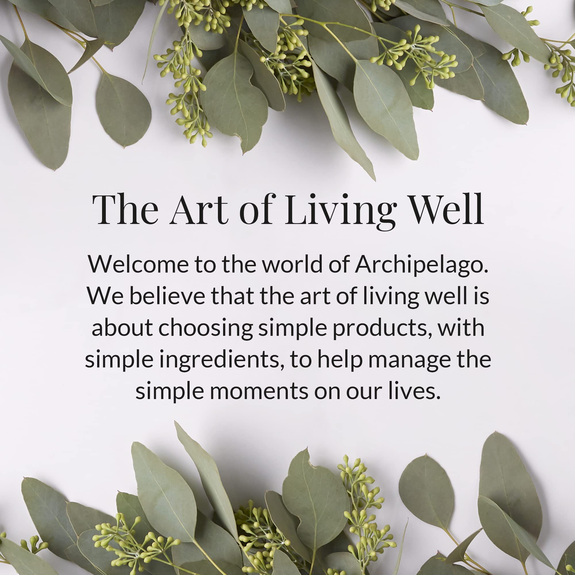 Archipelago Charcoal Rose Hand Wash, 17 Fl Oz