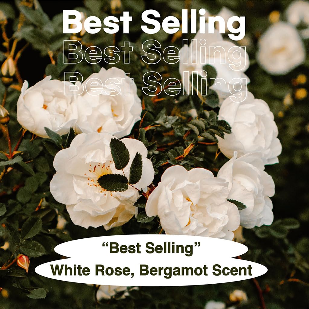 skybottle Perfumed Body Lotion with Pump, Fast Absorbing, Korean Skin Care, Bergamot, White Rose Scented Lotion for Women & Men, Girls Valentine Gift, 10.1 Fl. Oz