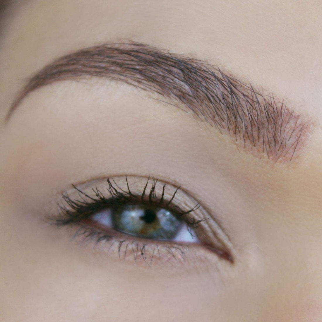 1 pc Brow Tint, Blond : Tinted Brow Gel, Blond Eyebrow Makeup Filler for Perfect Brow Shaping, Made in the USA, Paraben Free, Cruelty Free